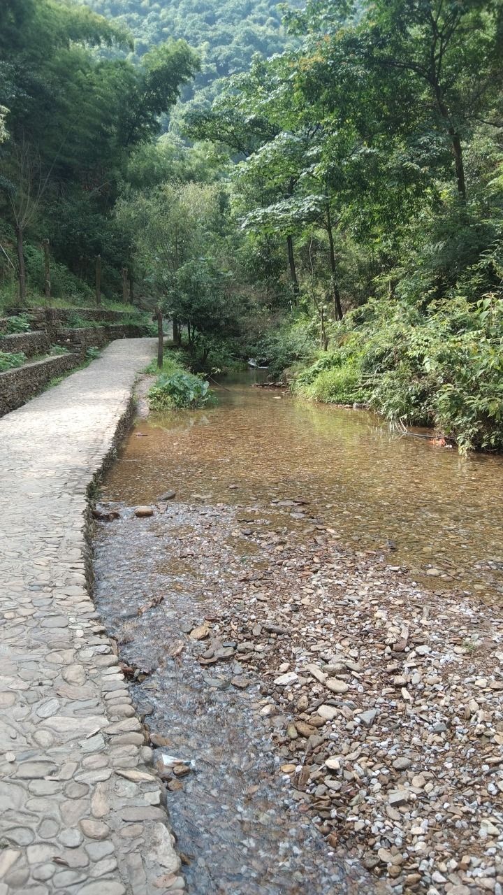 边山乡村森林公园