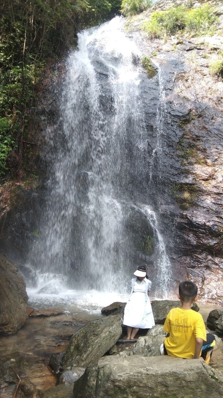 边山乡村森林公园旅行图片 1