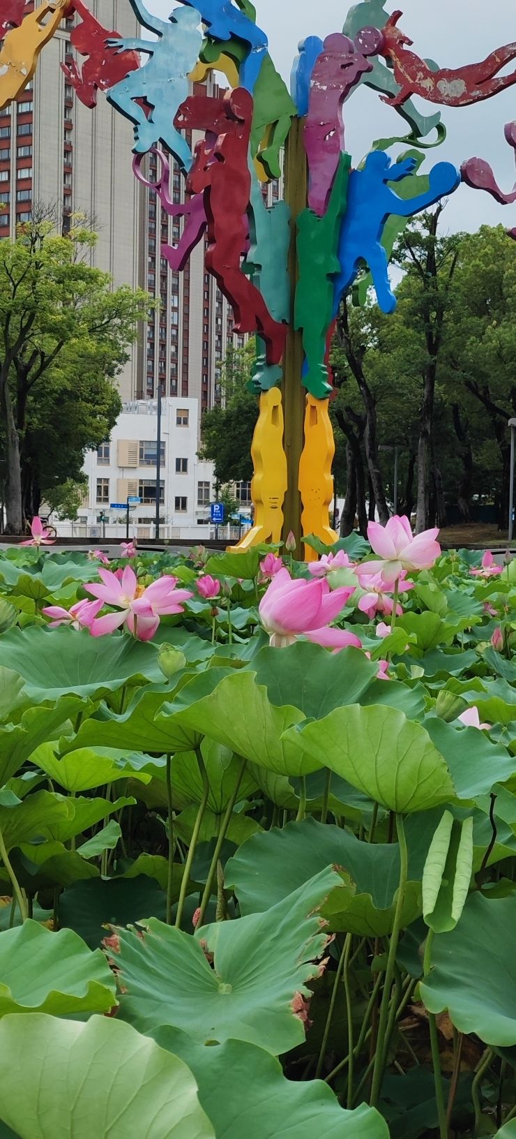 场地封面-满贯体育足球公园