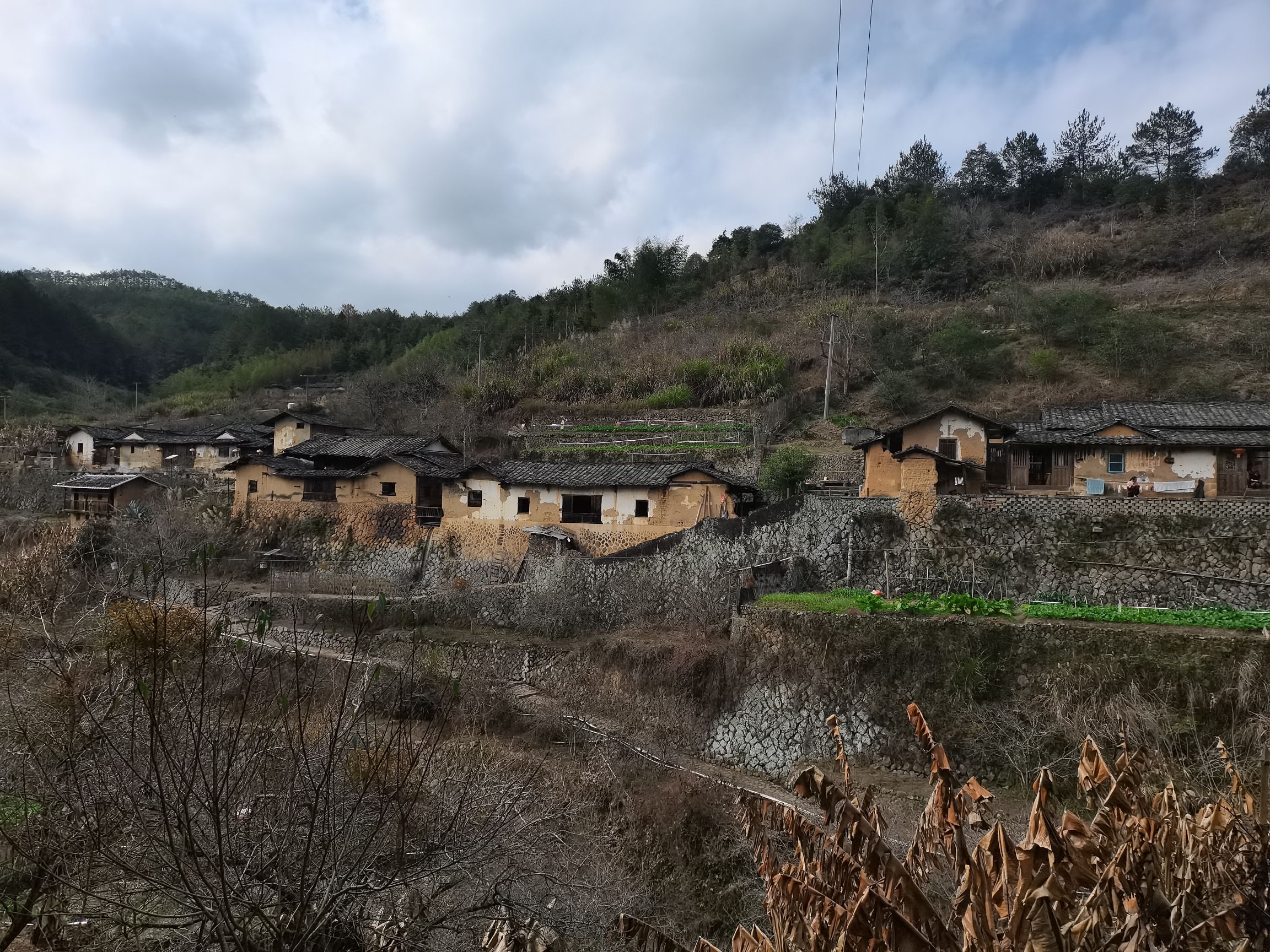 古韵东湖景区旅行图片 2
