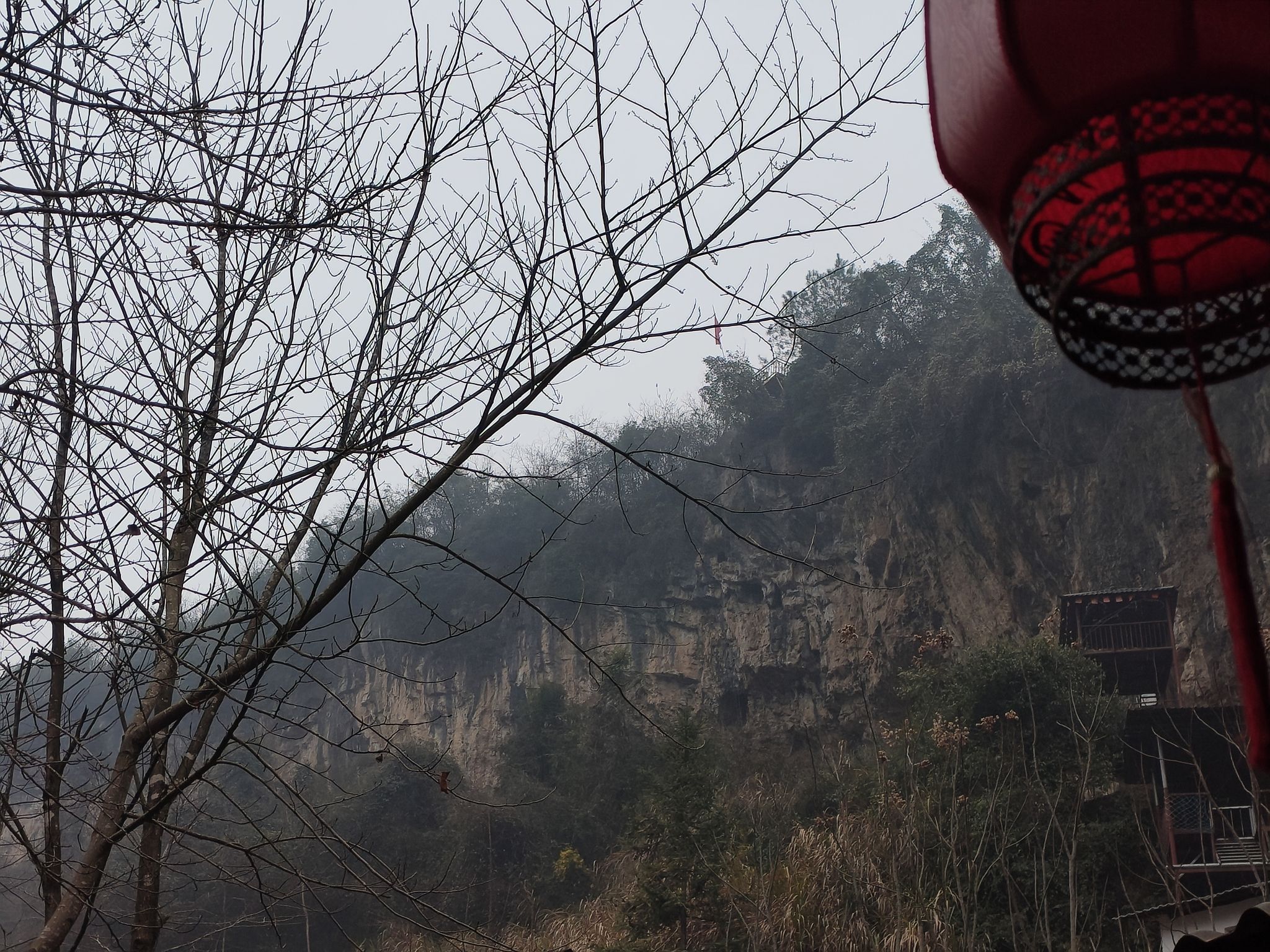 张家界自然探险森林公园旅行图片 2