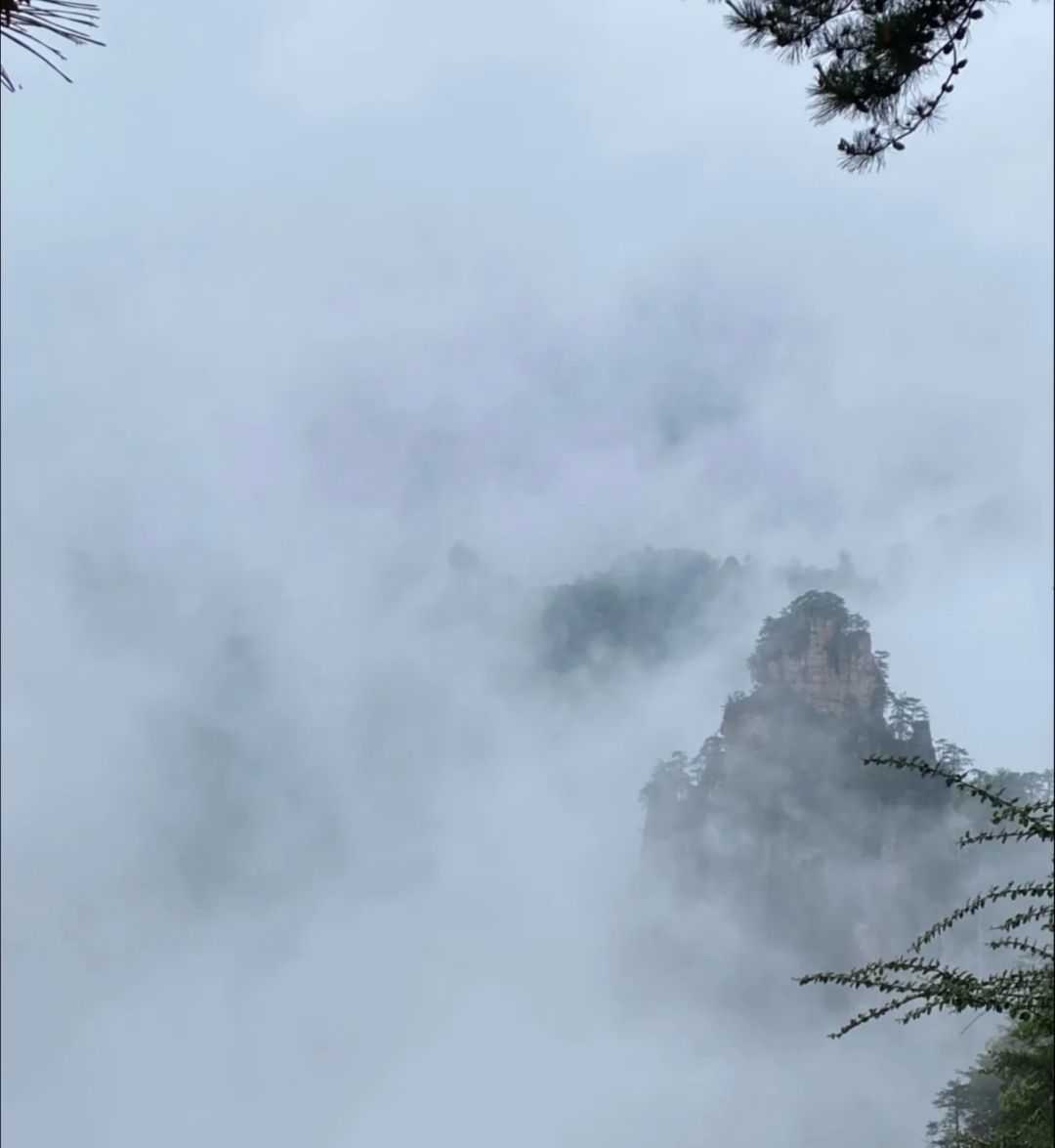 张家界自然探险森林公园旅行图片 1