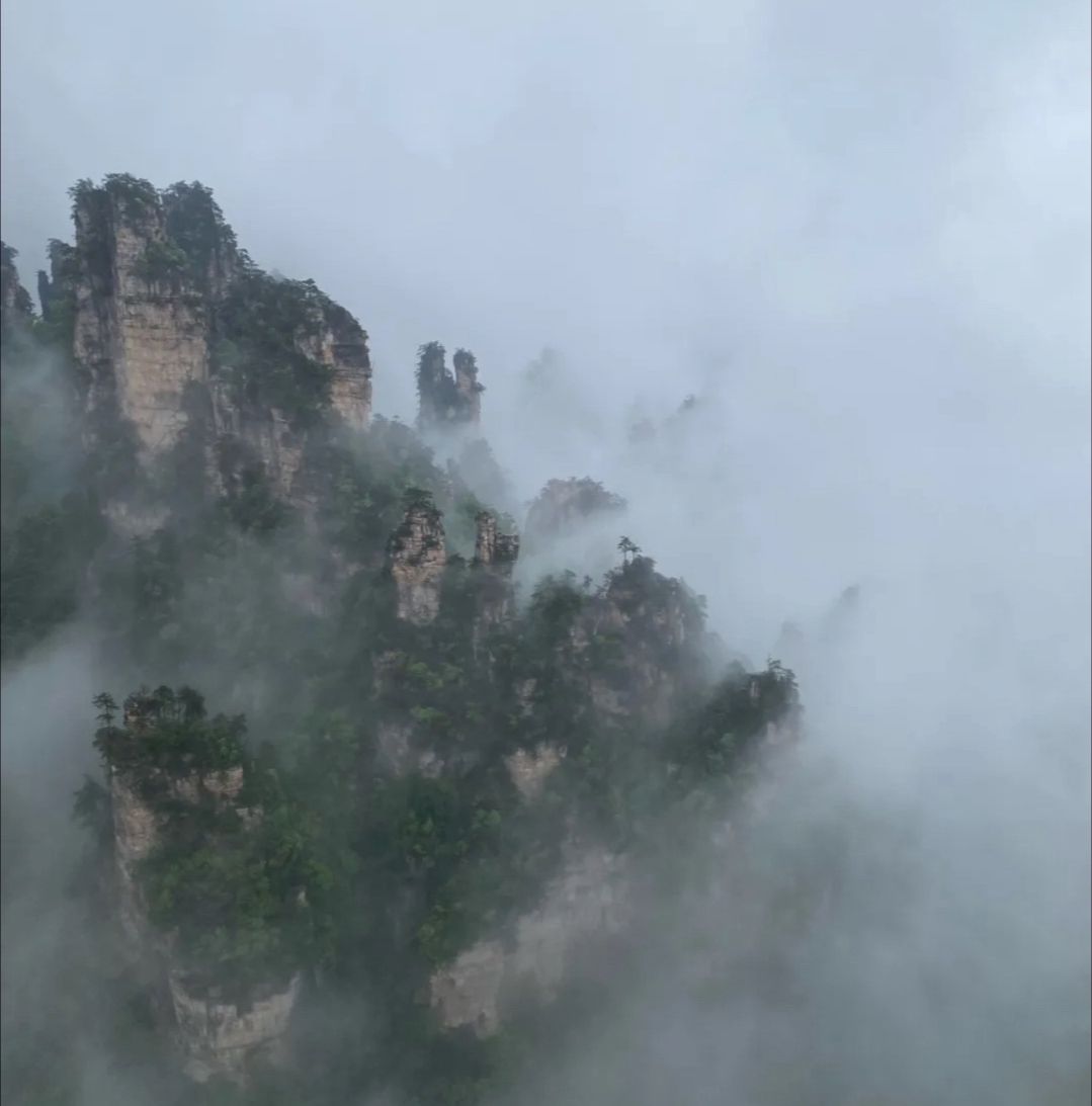 张家界自然探险森林公园旅行图片 3