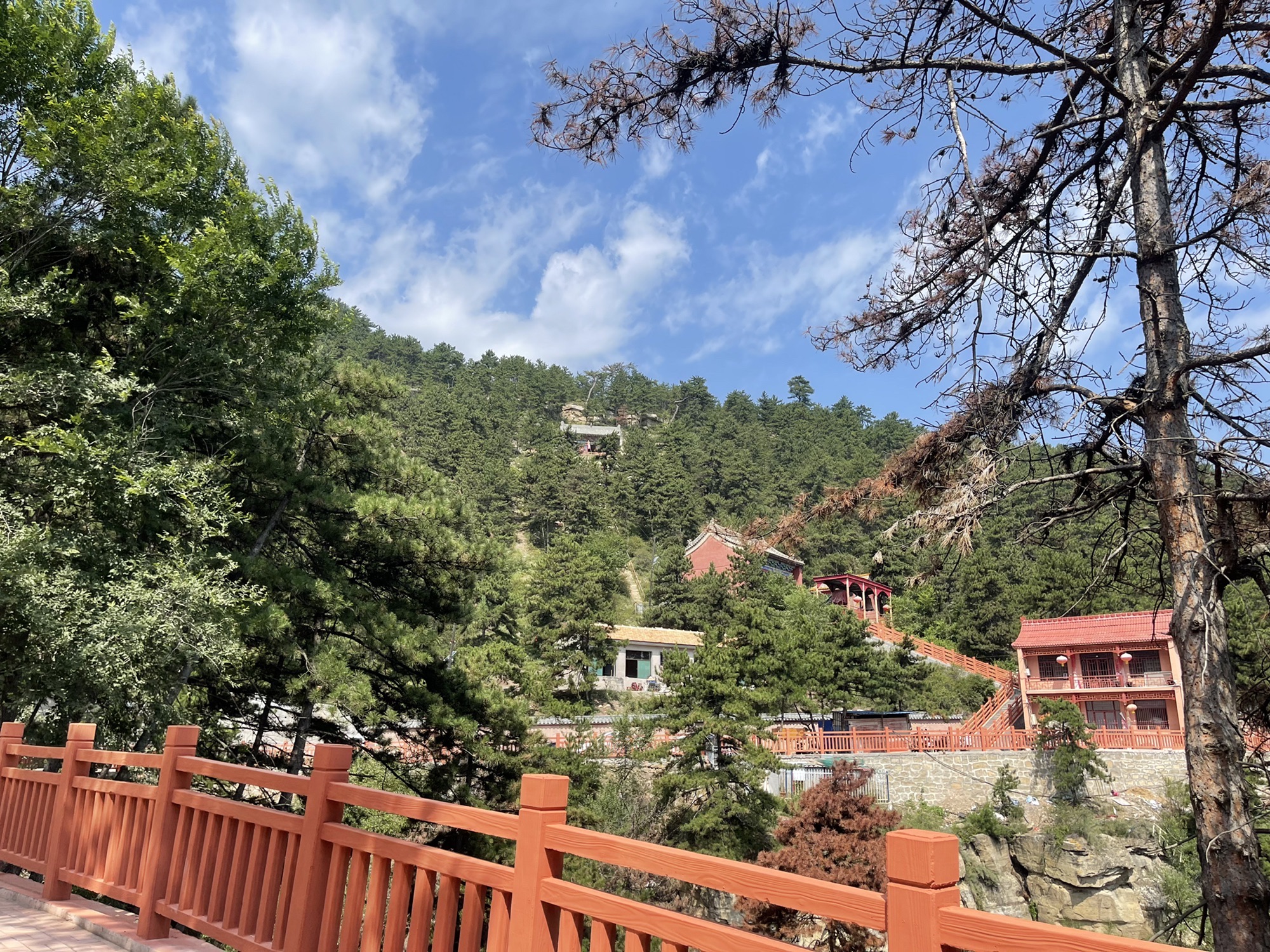 石佛寺森林公园旅行图片 1