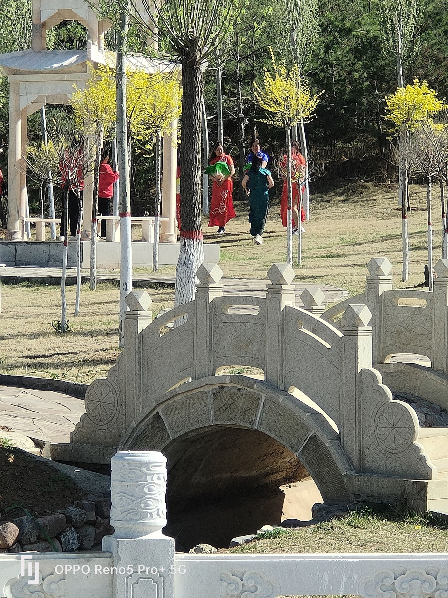 石佛寺森林公园旅行图片 3