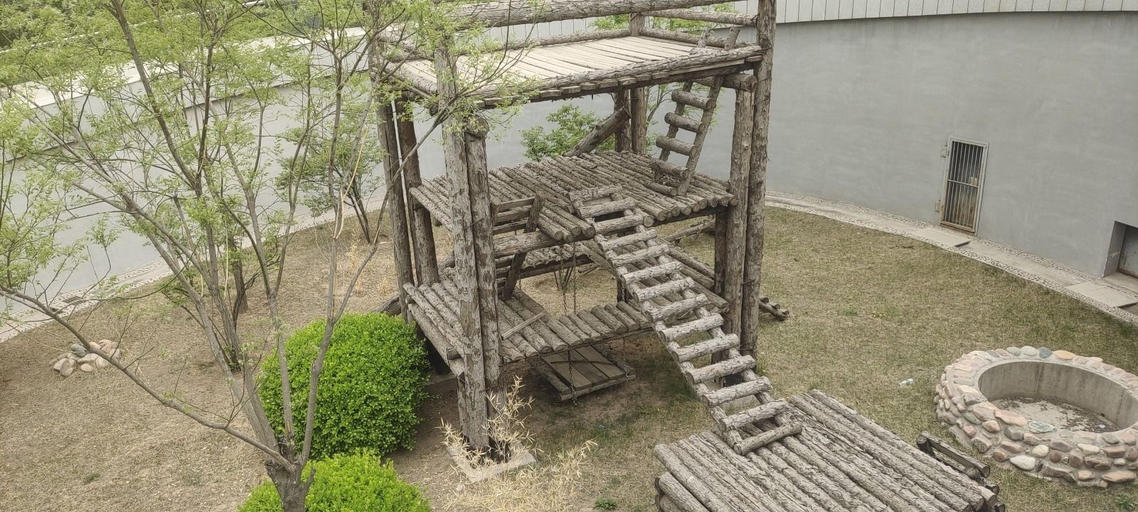 太原动物园-熊猫馆
