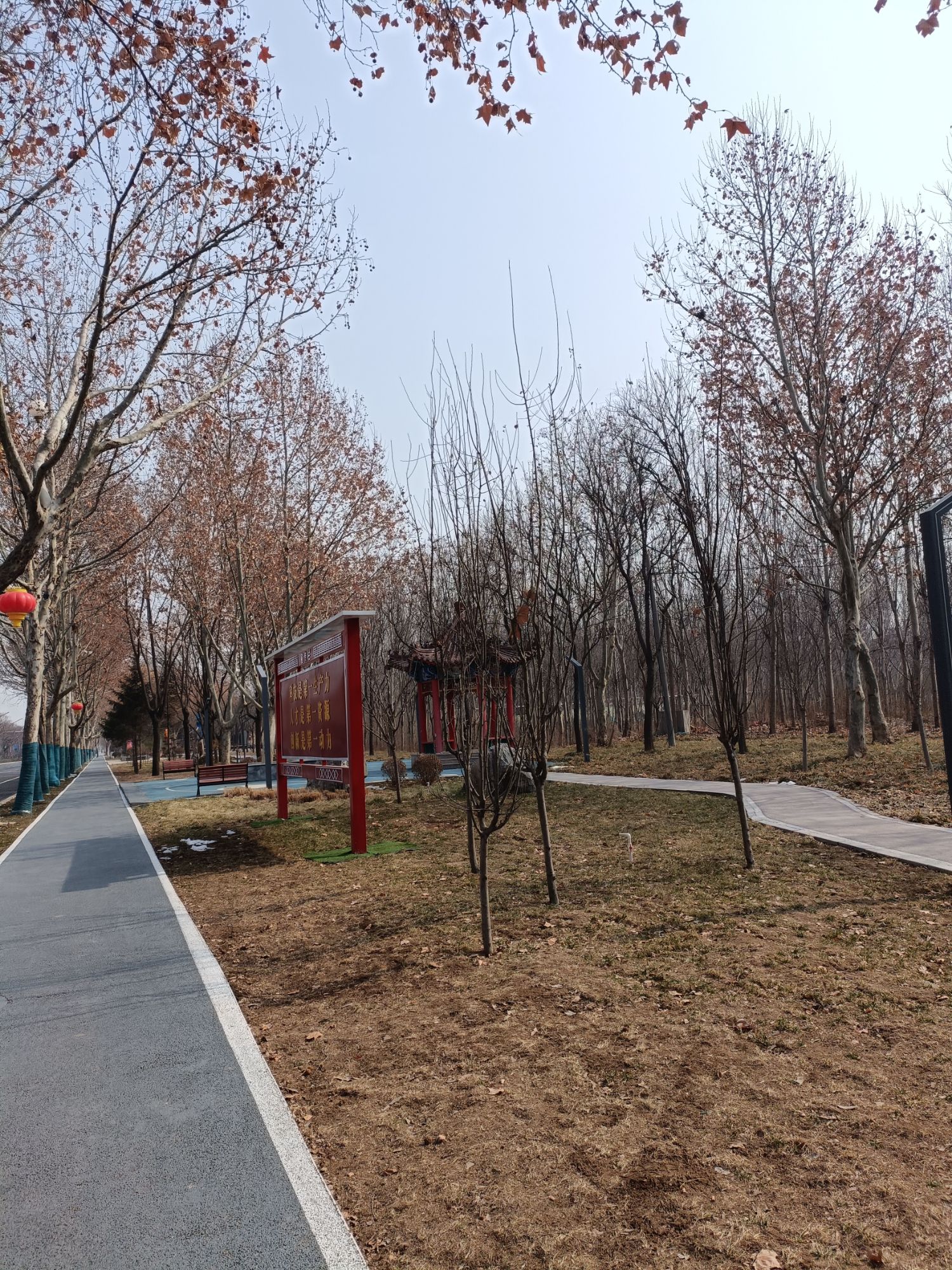 德馨园旅行图片 1