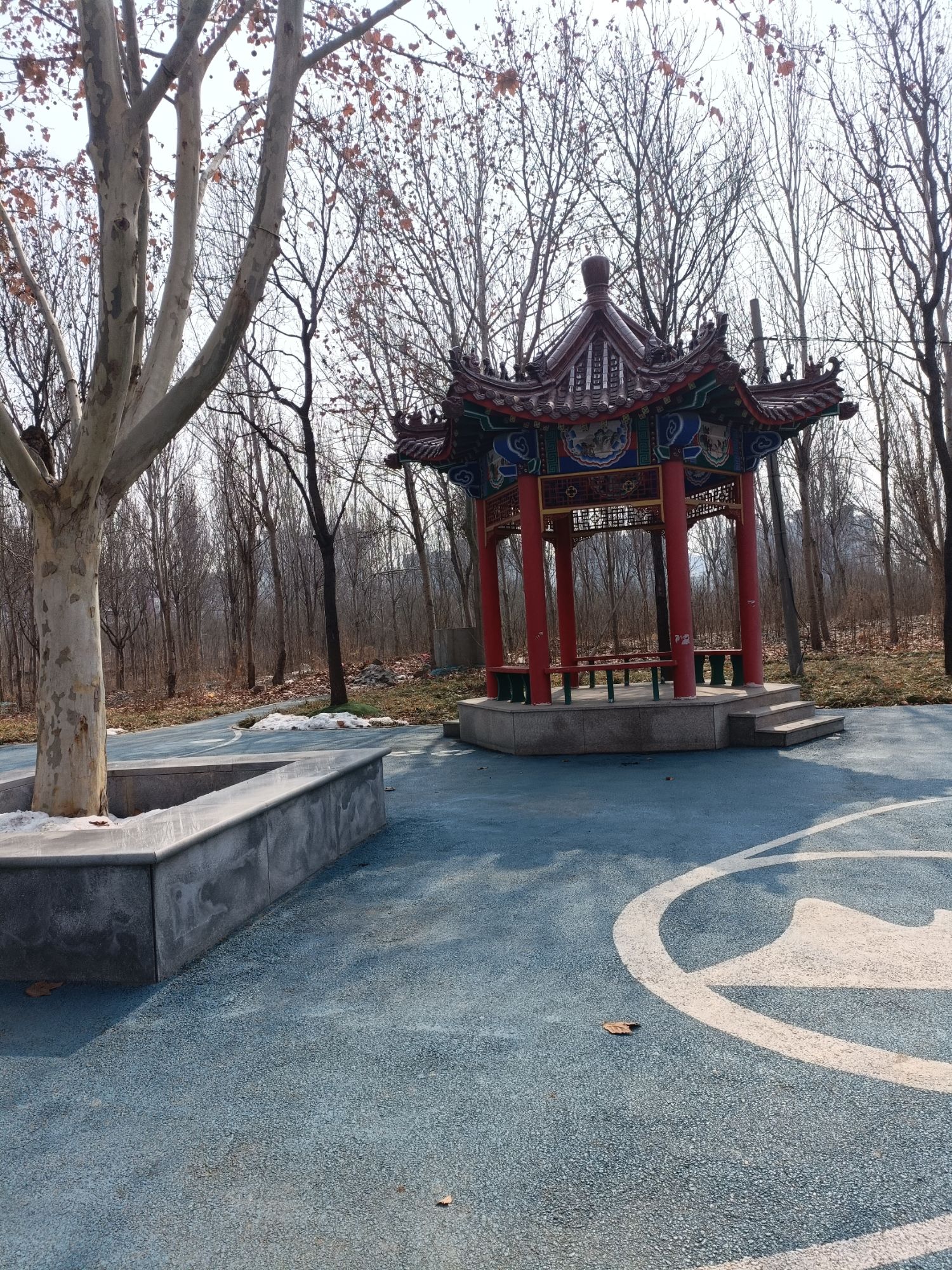 德馨园旅行图片 3