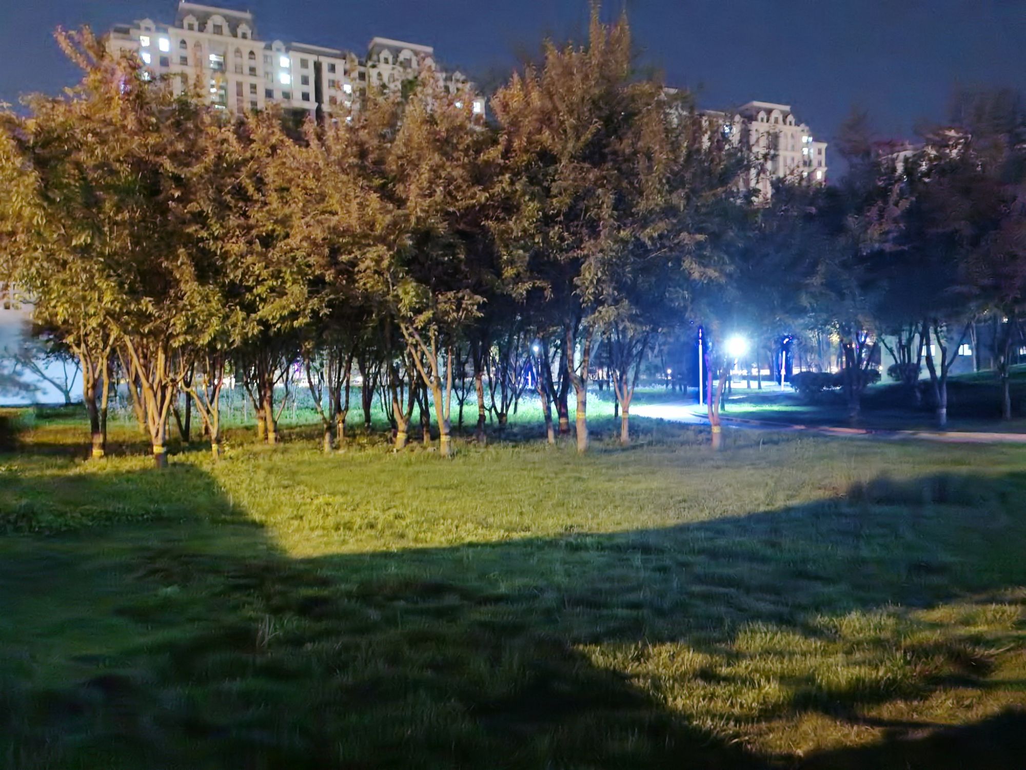 怡康园旅行图片 3