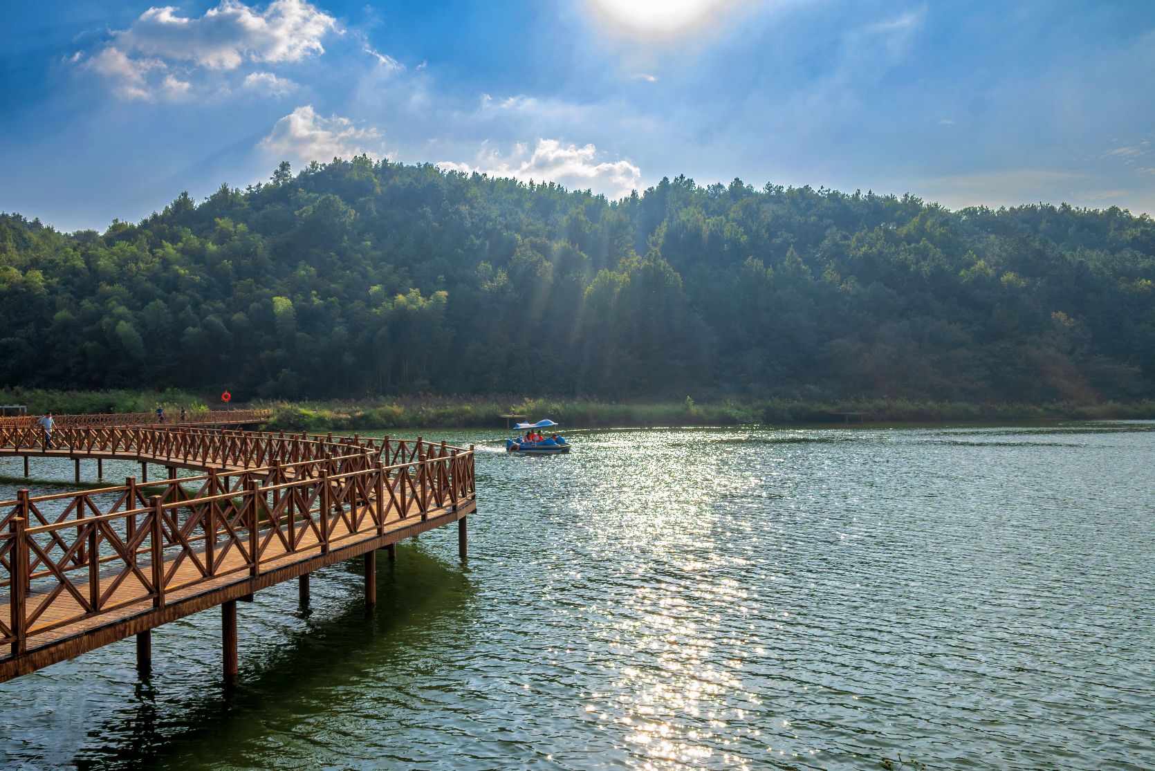 庐江阳家墩景区旅行图片 1