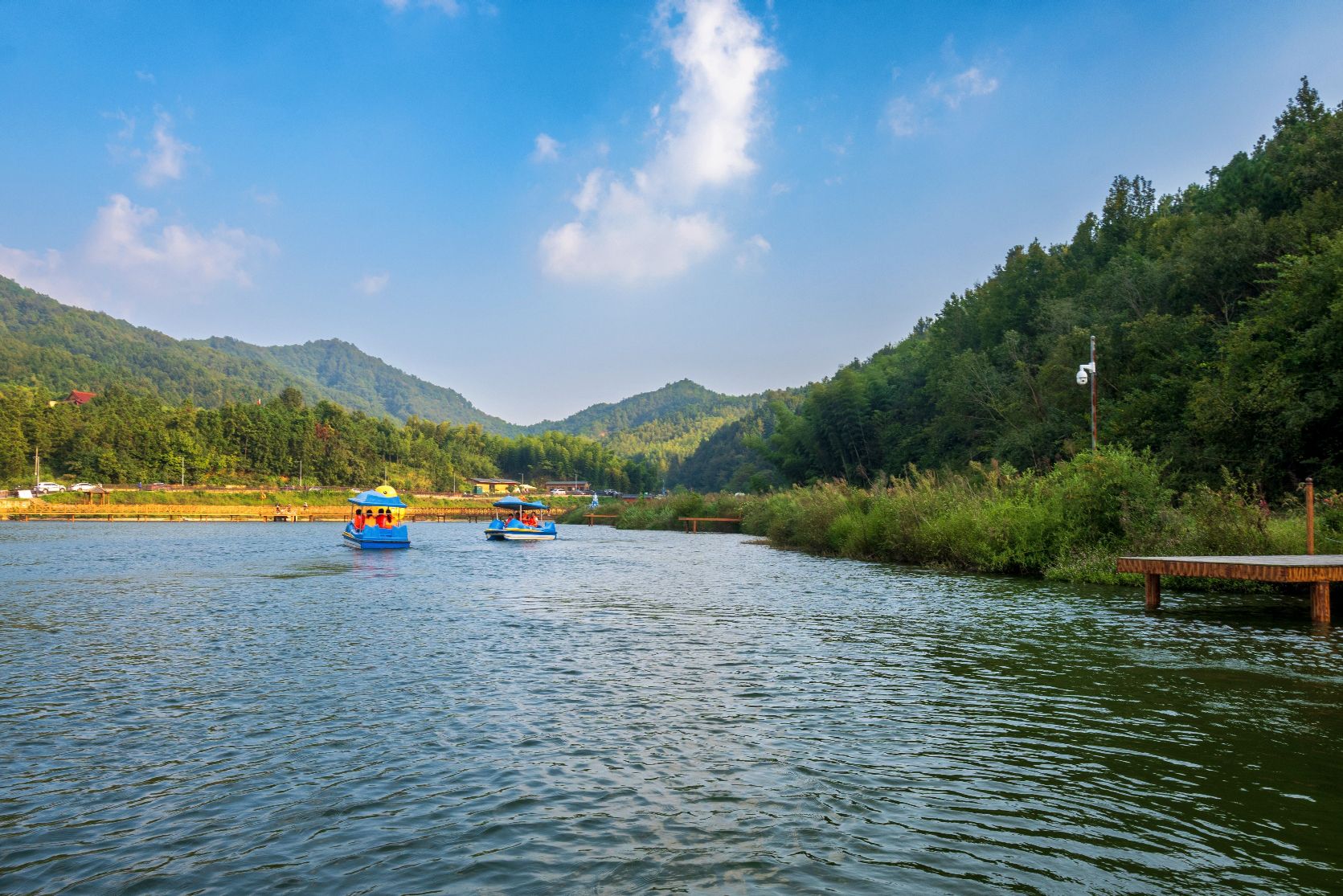 庐江阳家墩景区旅行图片 3