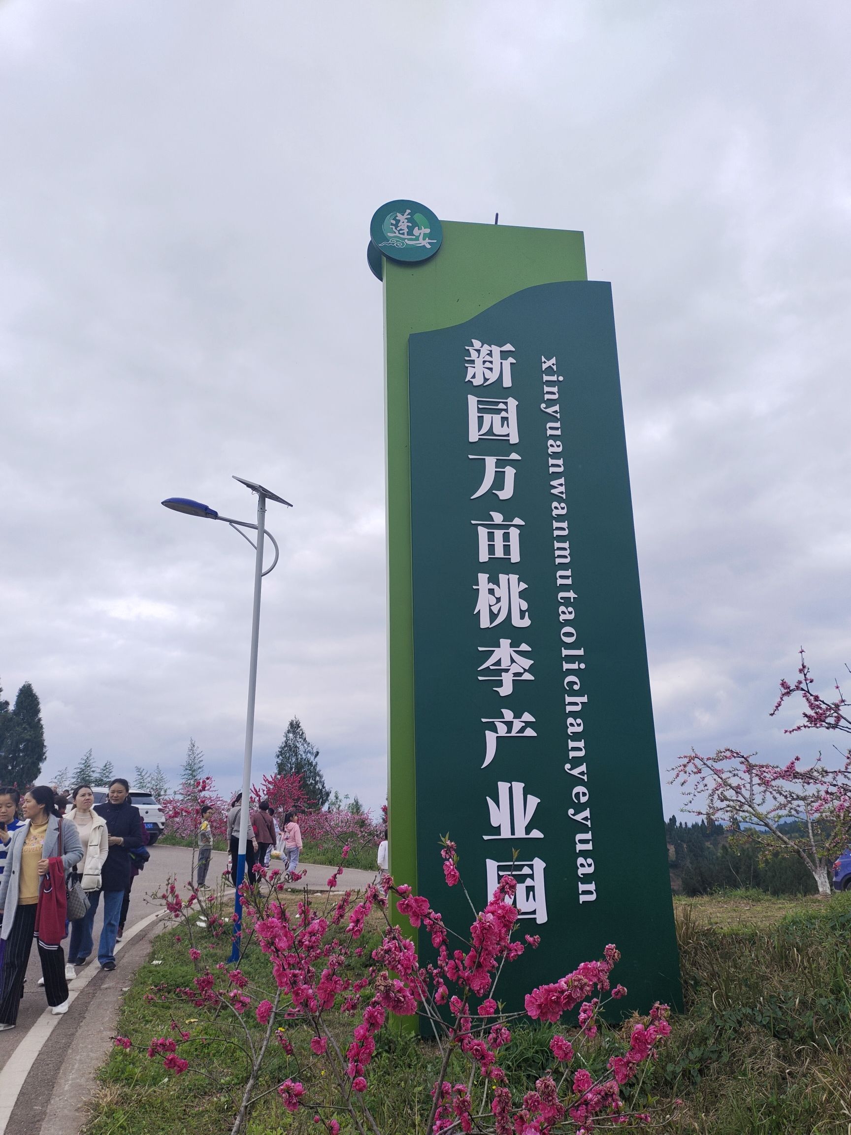 本禾农业之桃李交易长廊旅行图片 1