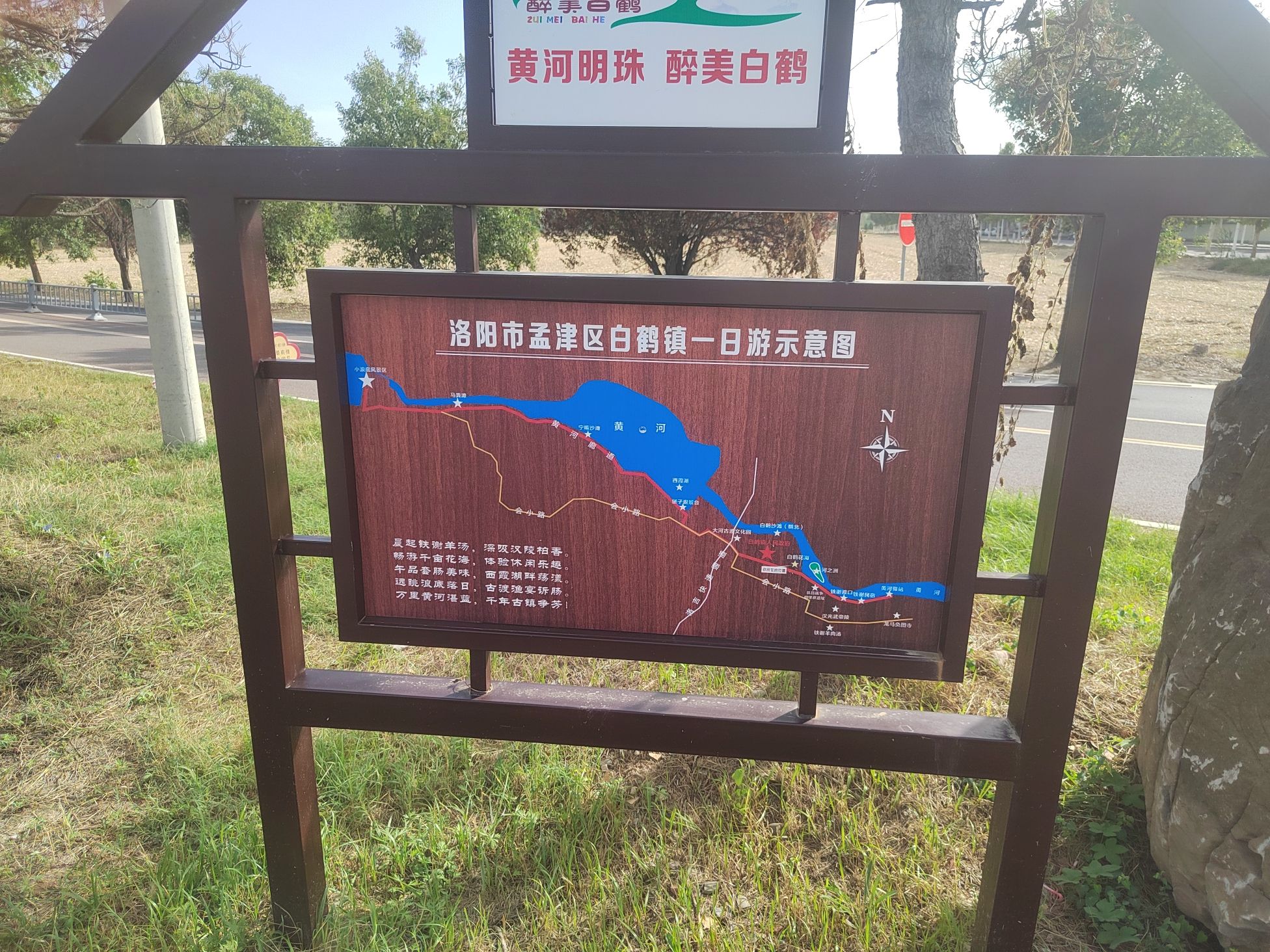 醉美白鹤花海旅行图片