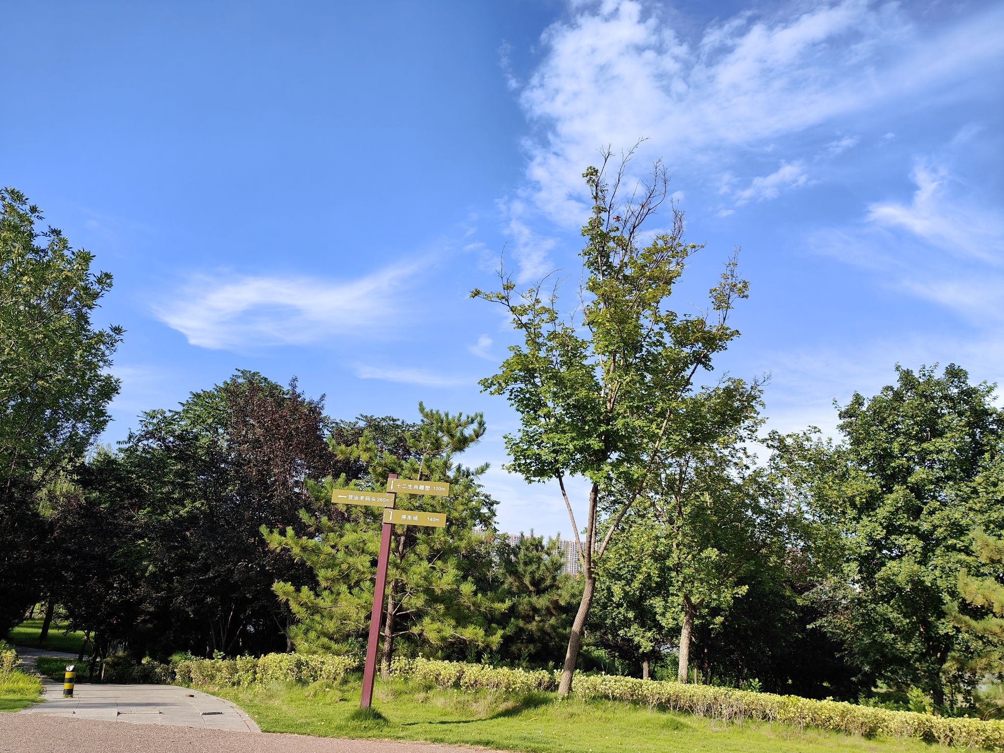 希鸥铁塔花海旅行图片 3
