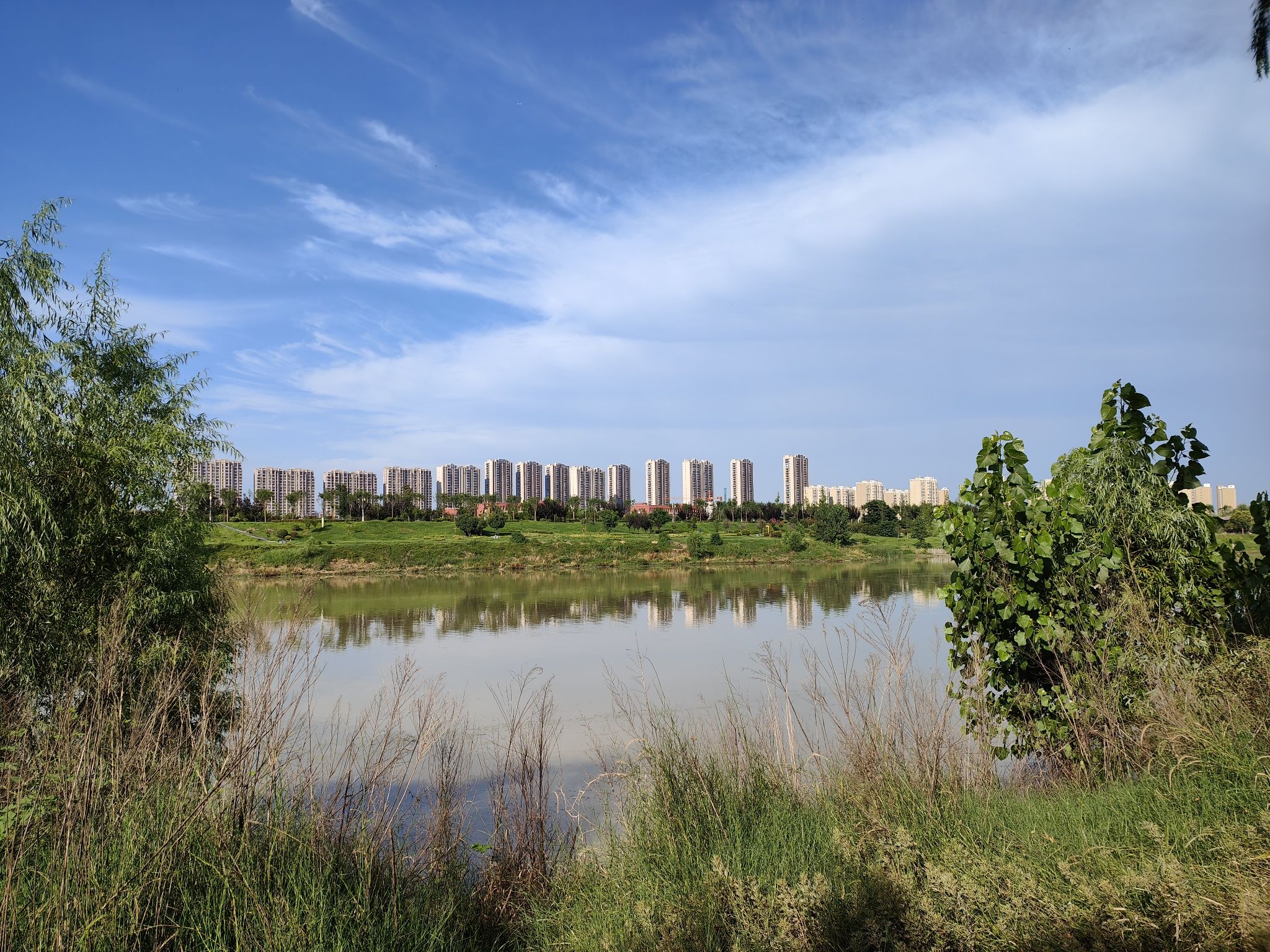希鸥铁塔花海旅行图片 2