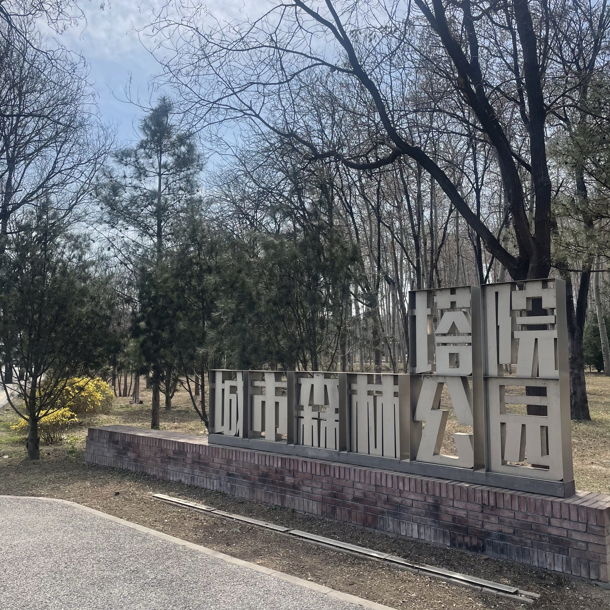白杨林公园