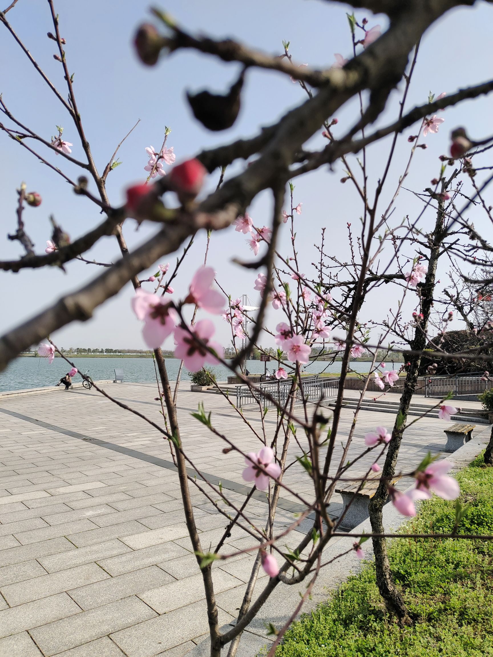 柳湖沙月沙滩公园旅行图片 2