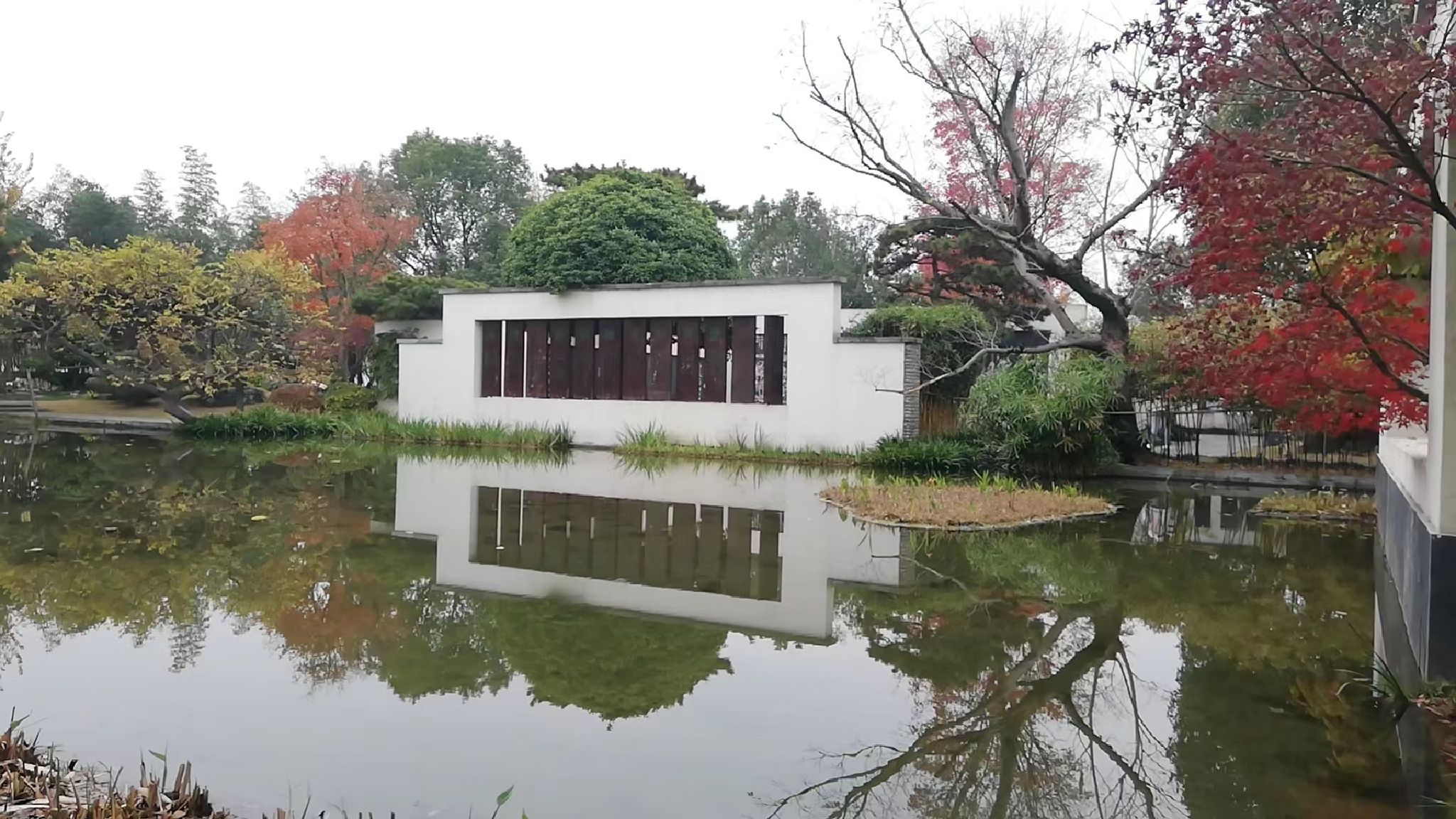 柳湖沙月沙滩公园旅行图片 1