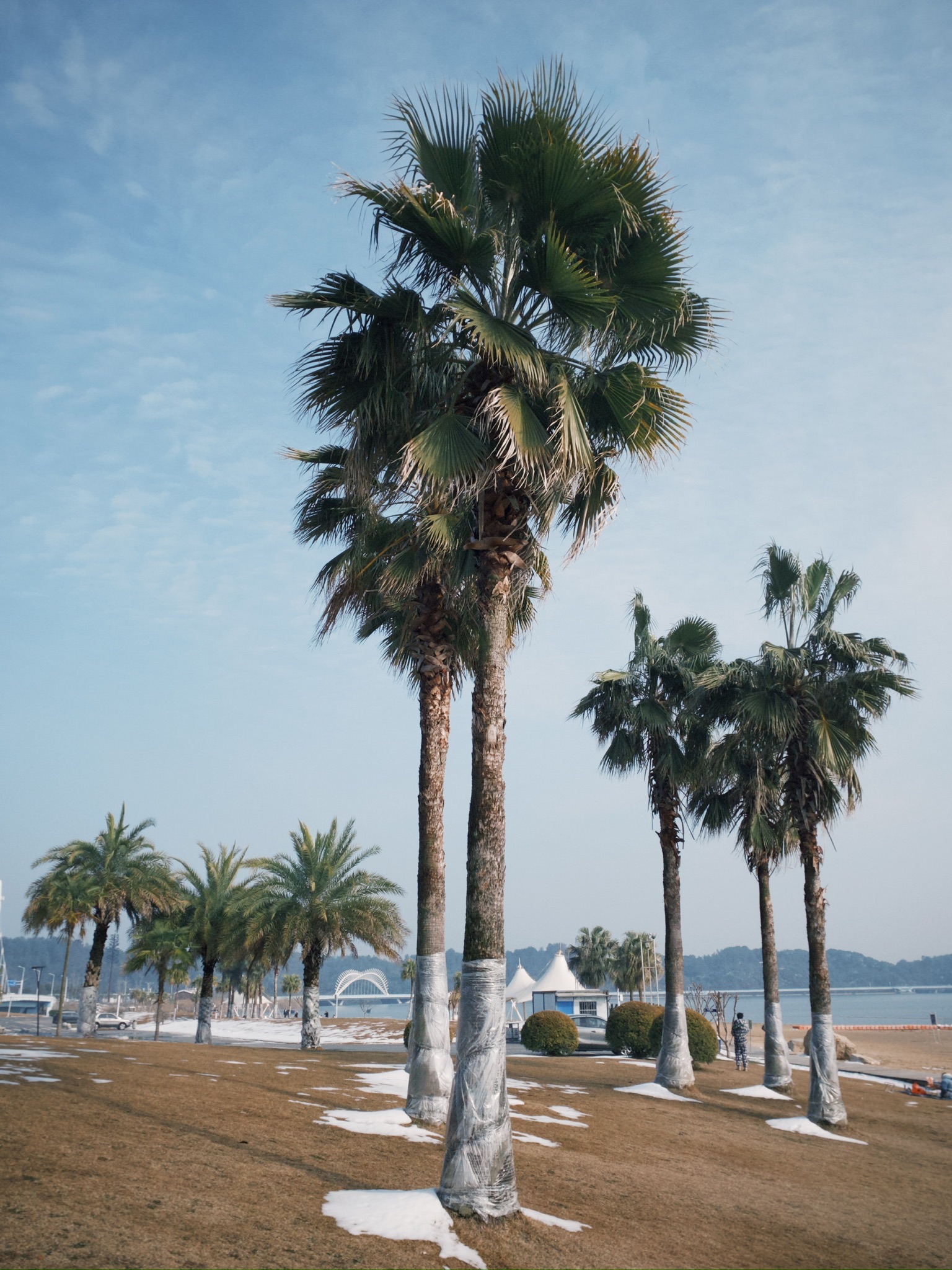 柳湖沙月沙滩公园