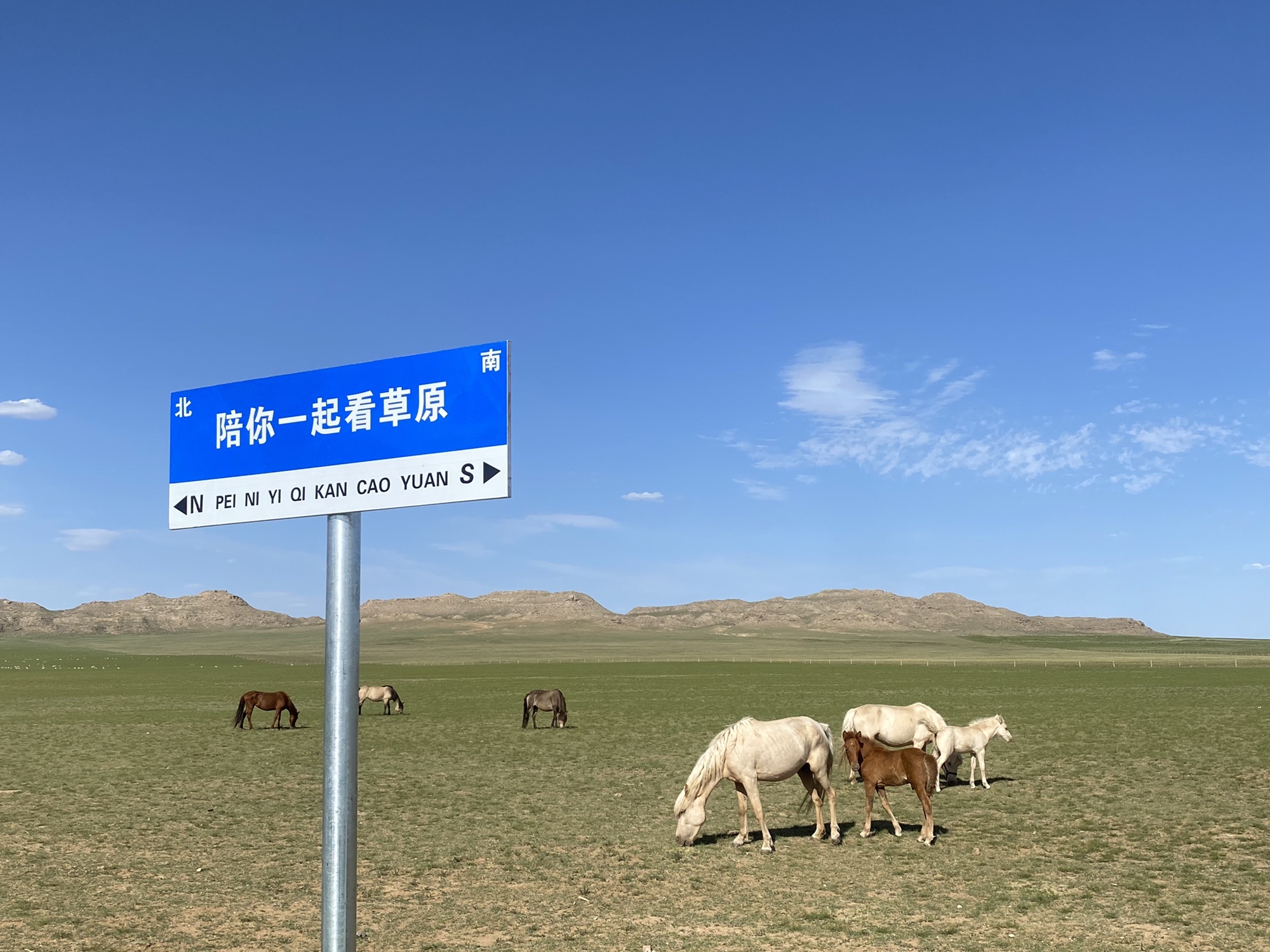鄂托克大草原旅行图片 1