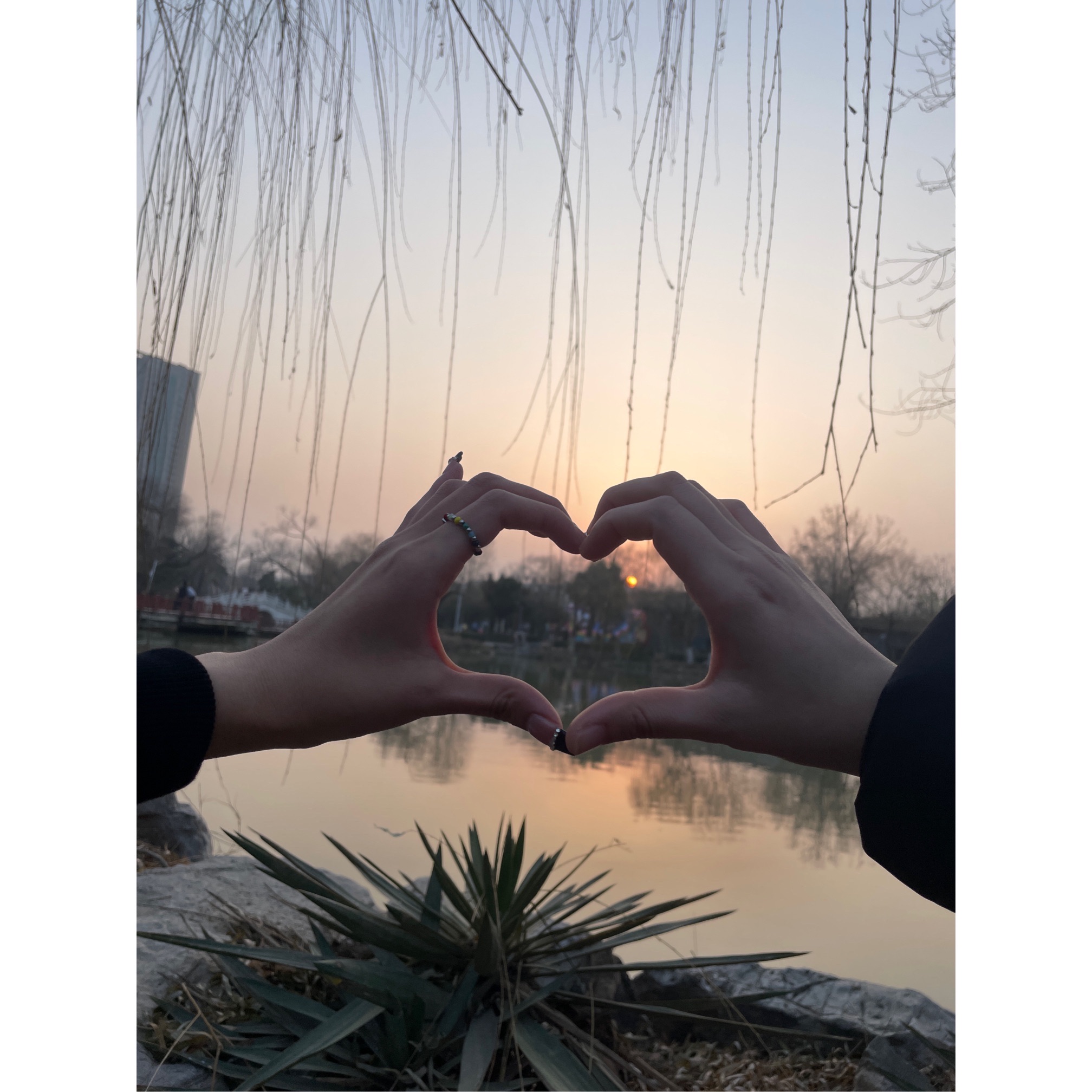 海州公园旅行图片 2