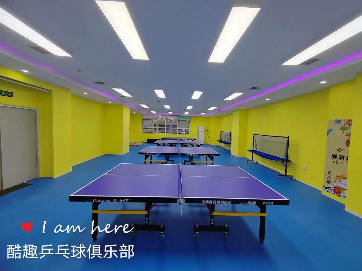 场地封面-酷趣乒乓球