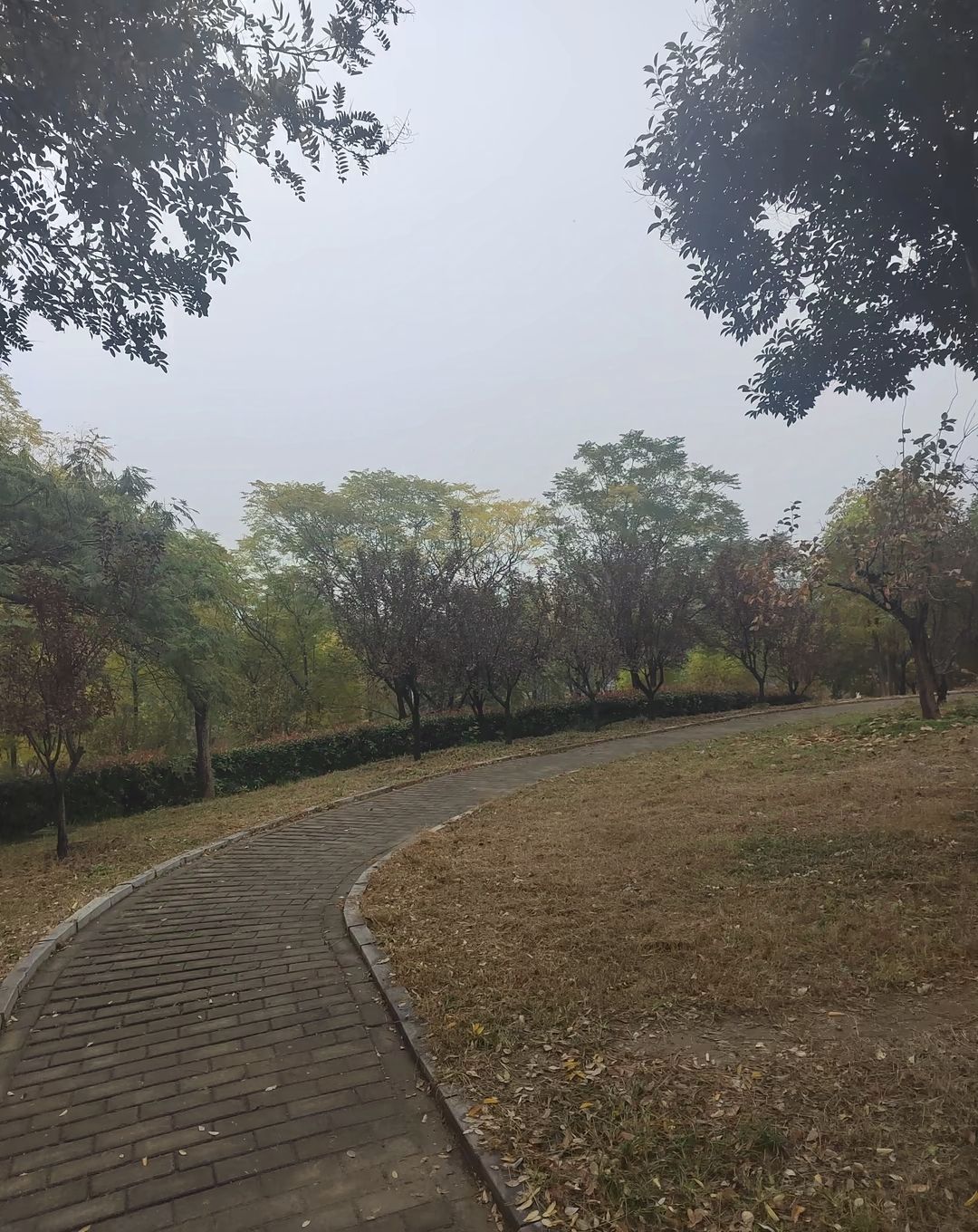 徒骇河公园旅行图片 2