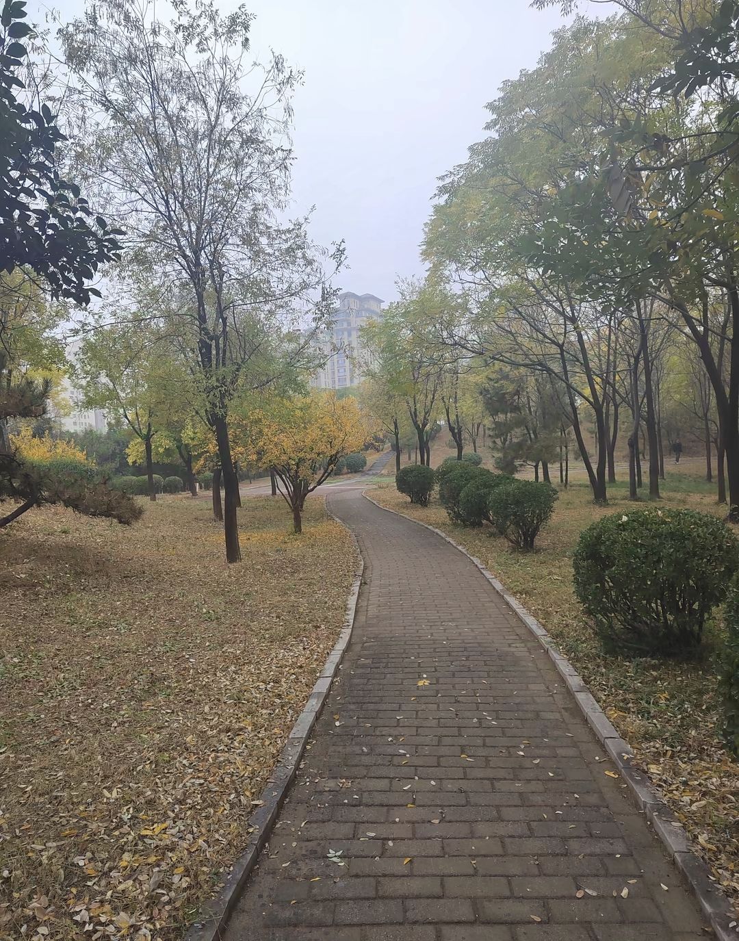 徒骇河公园旅行图片 3