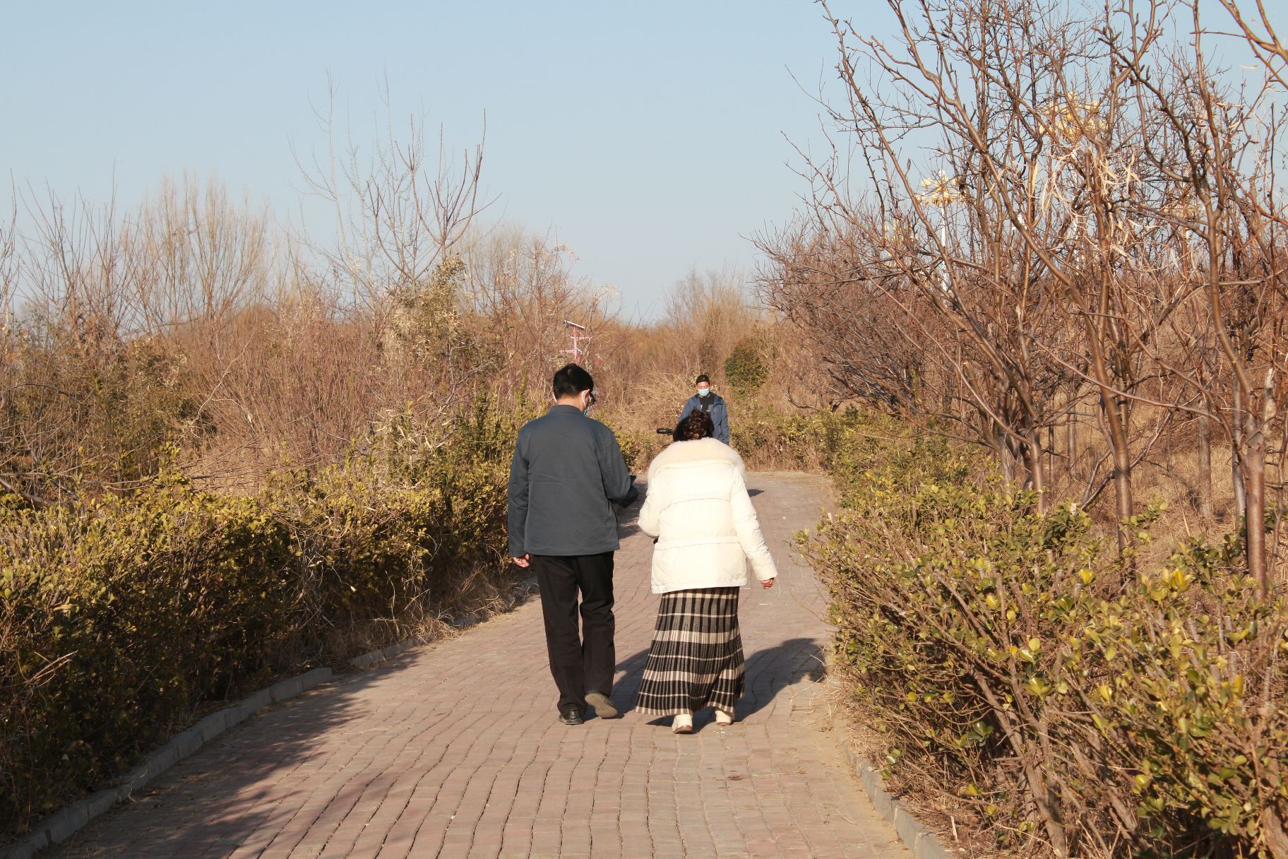徒骇河公园旅行图片 2