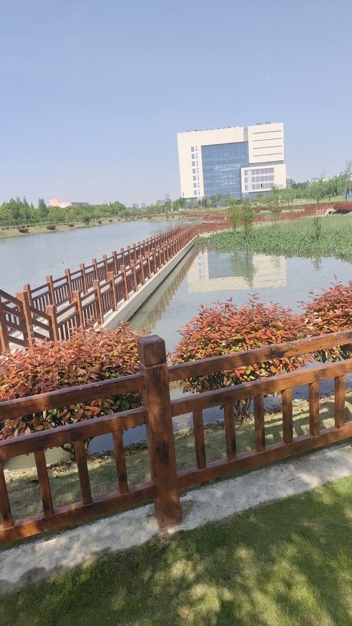 闵行科创公园旅行图片 2