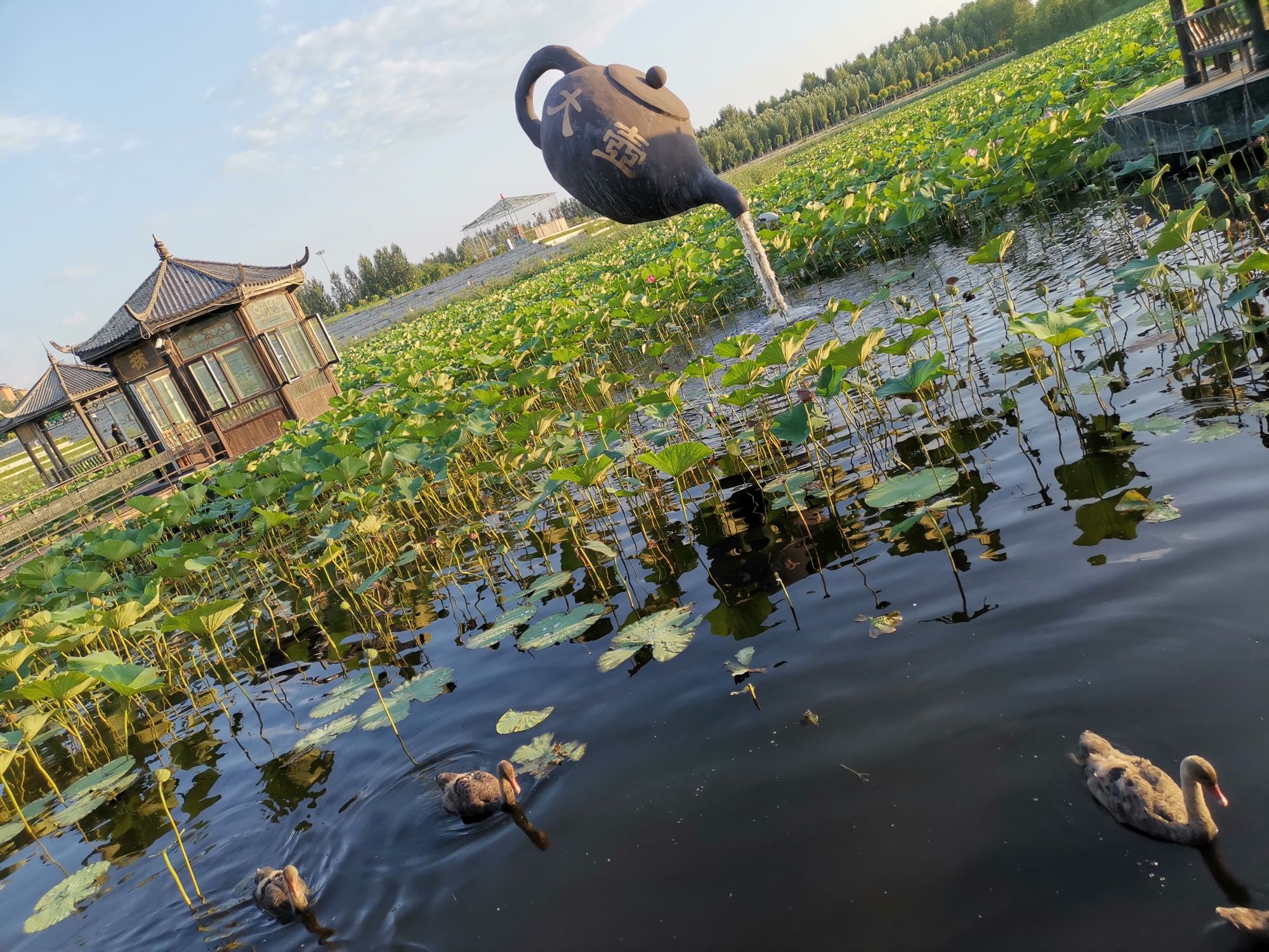 沈阳市康平县滨湖文化广场旅行图片 2