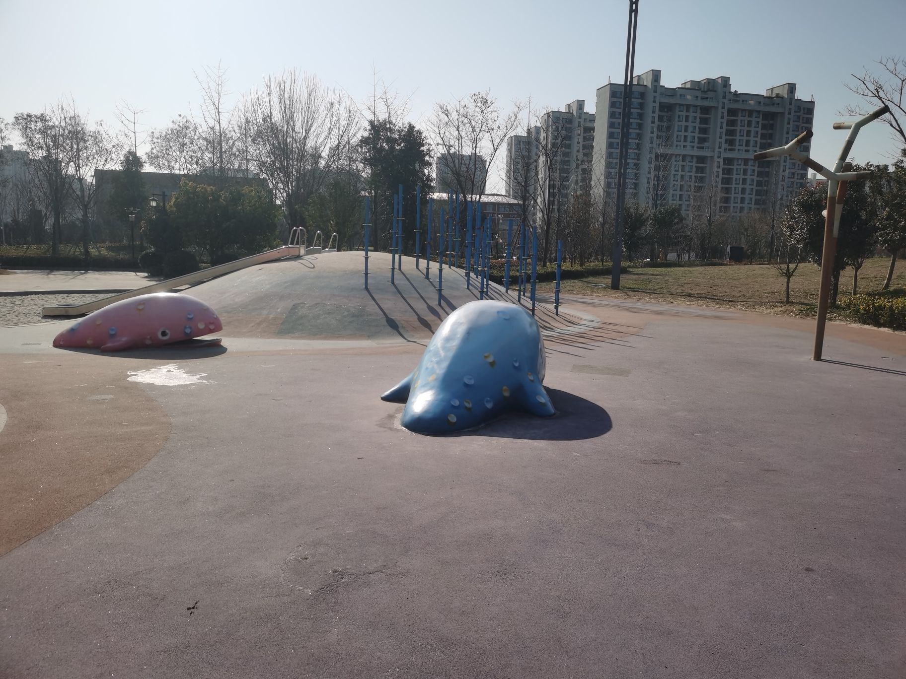 东明湖公园旅行图片 3