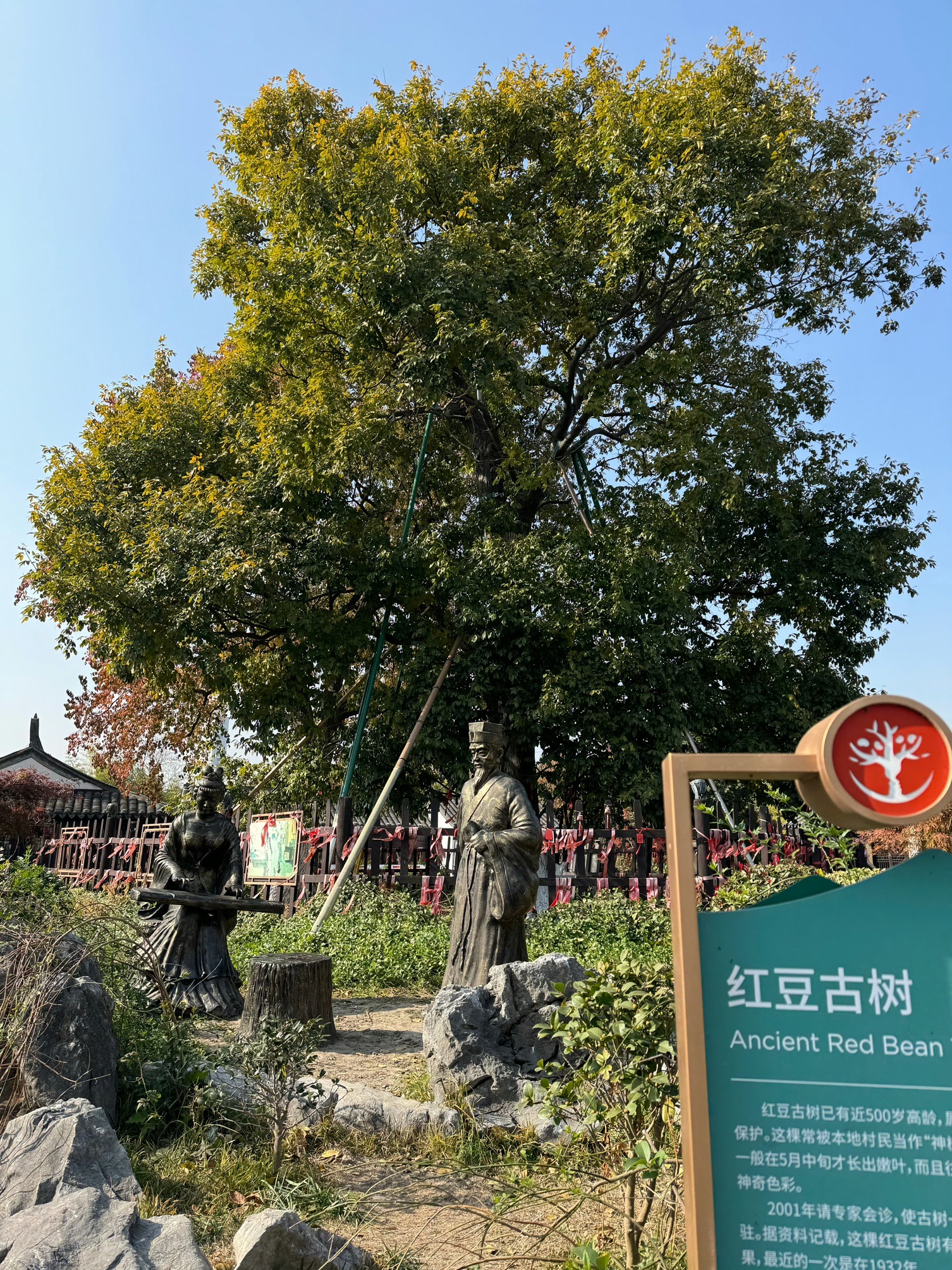 古里红豆山庄旅行图片 3
