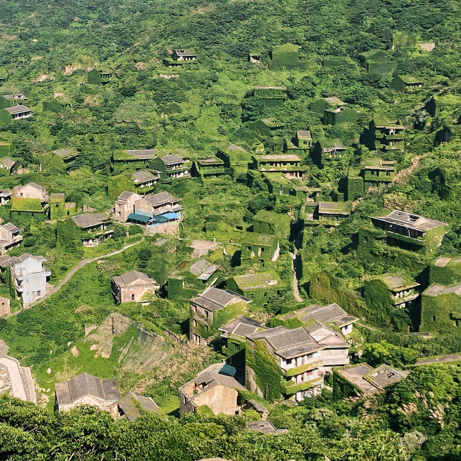 绿野仙踪无人村旅行图片 2