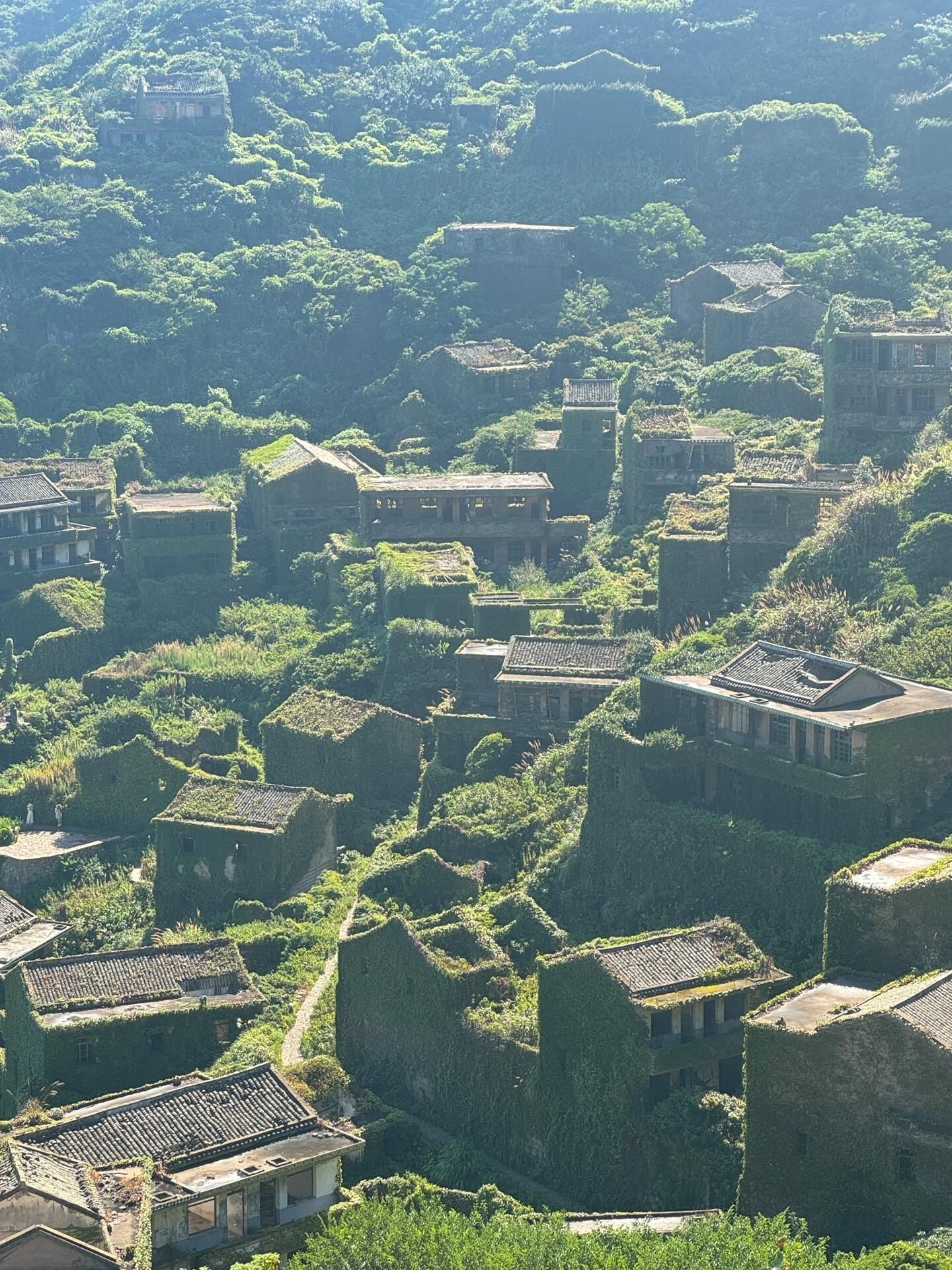 绿野仙踪无人村旅行图片 1