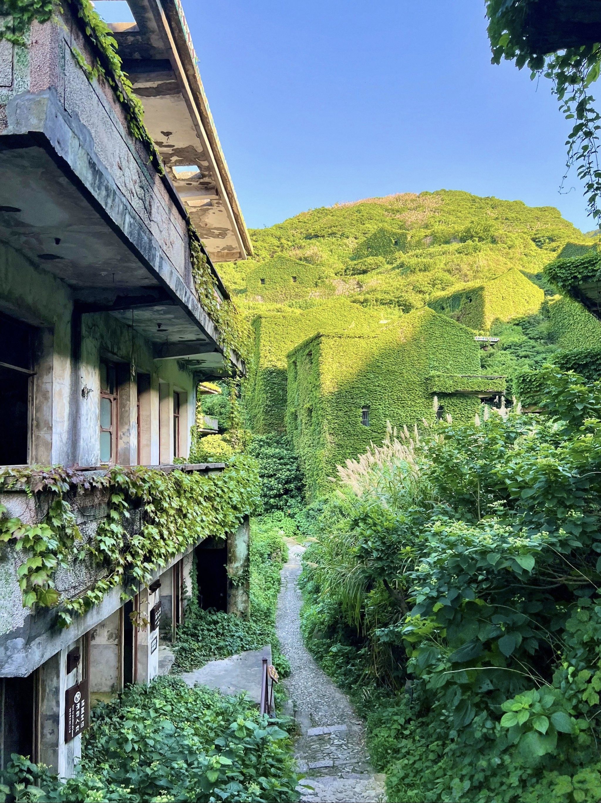 绿野仙踪无人村旅行图片 1