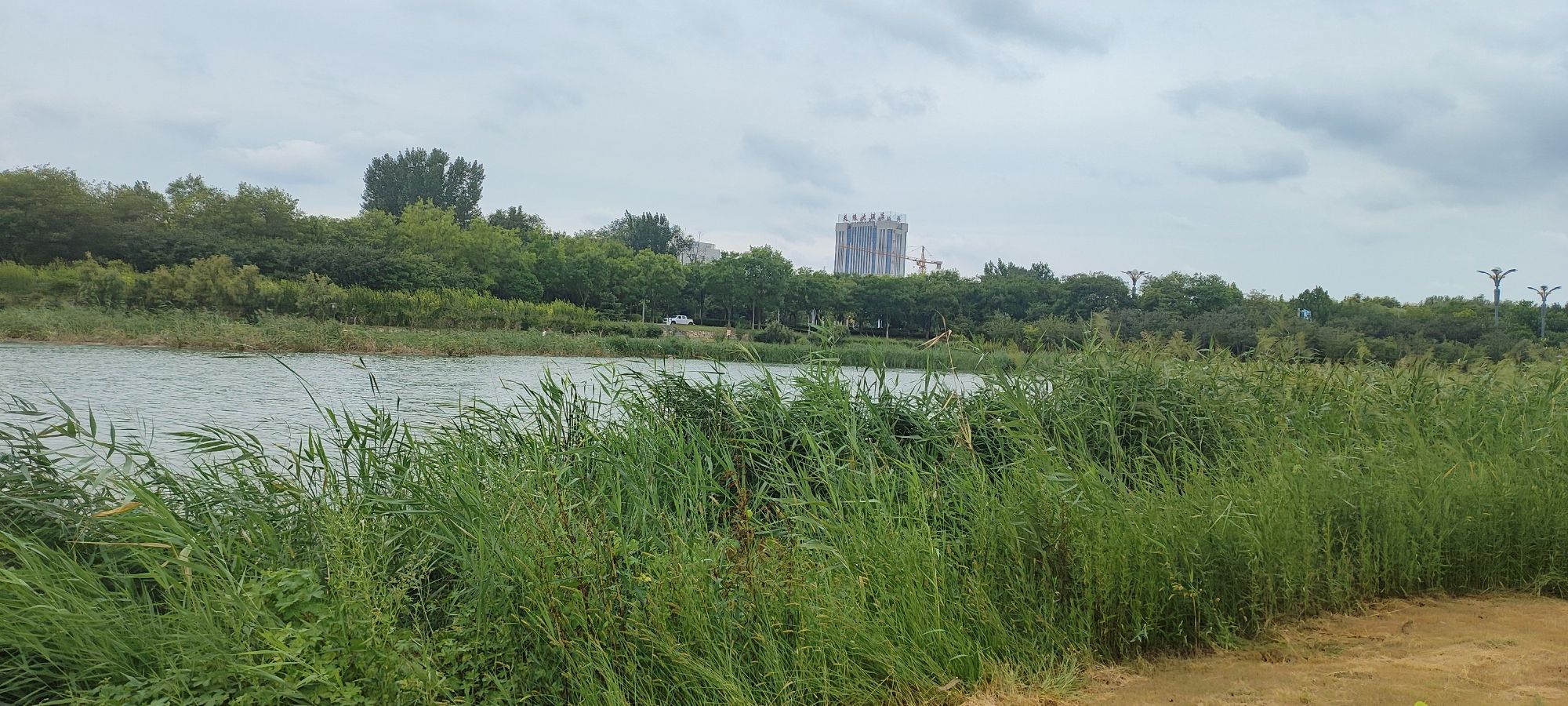 嘉祥吉祥湖湿地生态公园旅行图片 1
