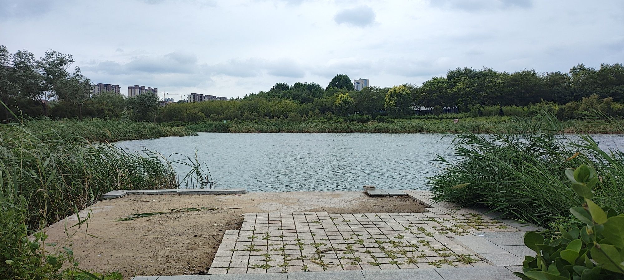 嘉祥吉祥湖湿地生态公园旅行图片 2