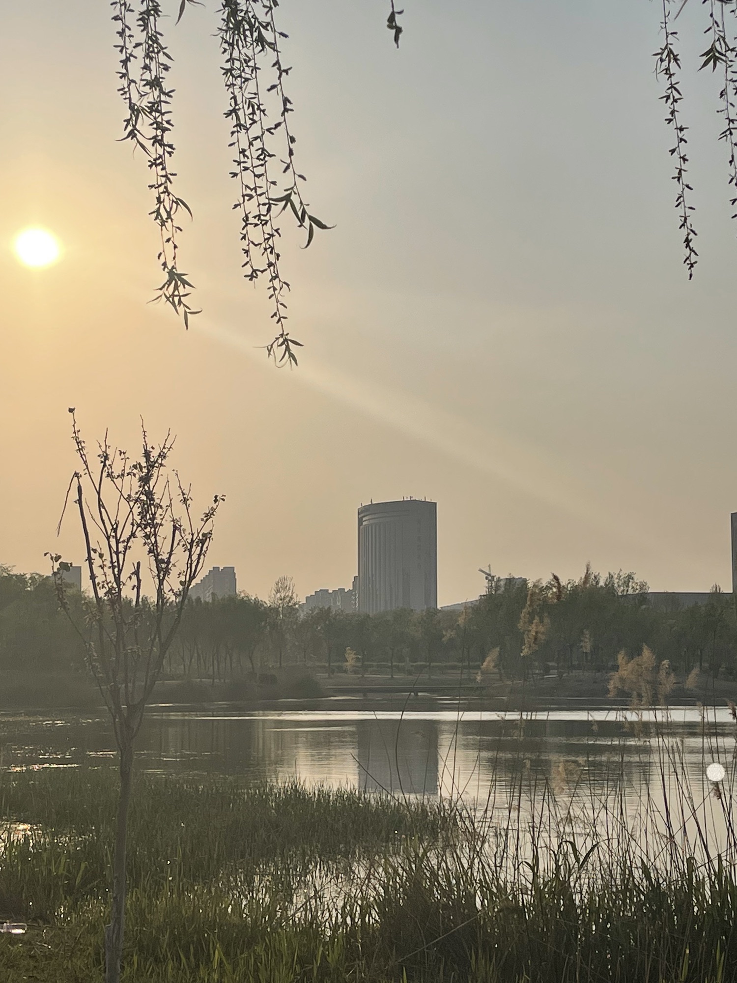 嘉祥吉祥湖湿地生态公园旅行图片 3