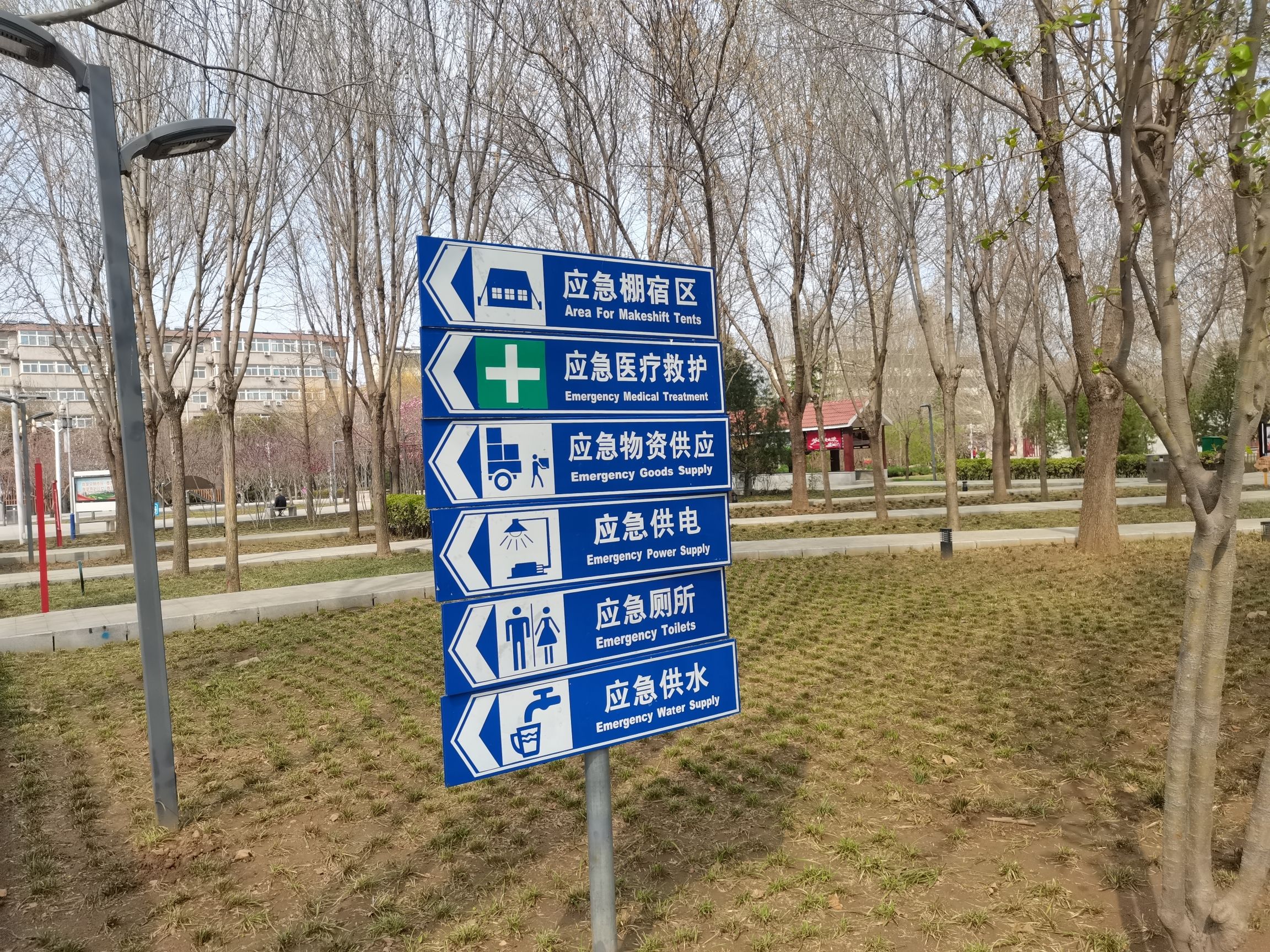 劳模公园旅行图片 2