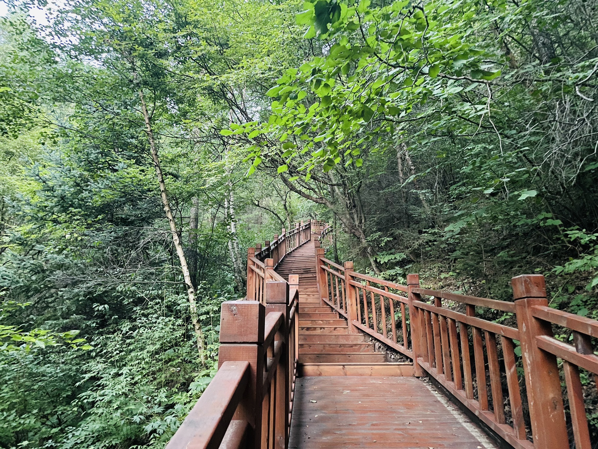 神池国家登山步道旅行图片 3