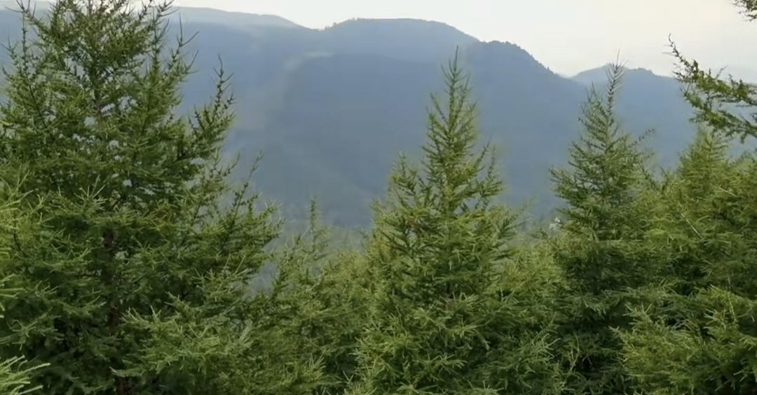 神池国家登山步道旅行图片 3