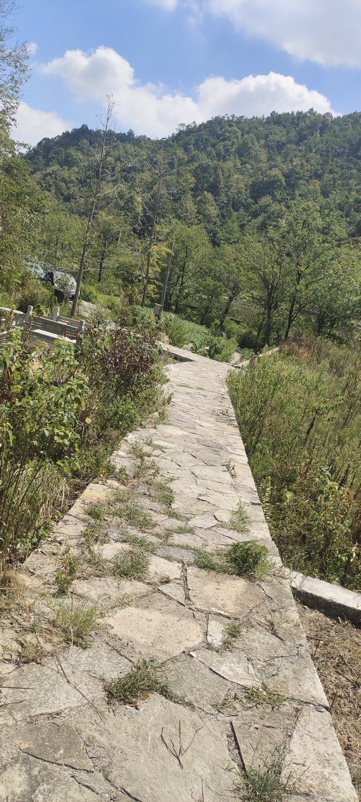 兰公岙瀑布旅行图片 3
