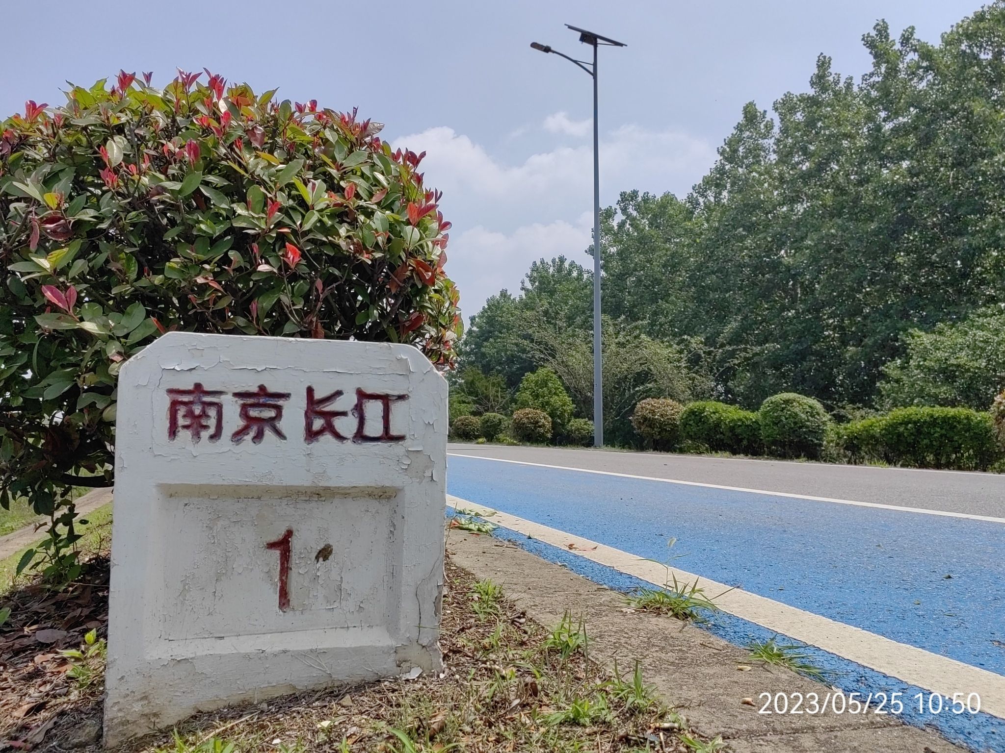 江宁滨江公园旅行图片 3