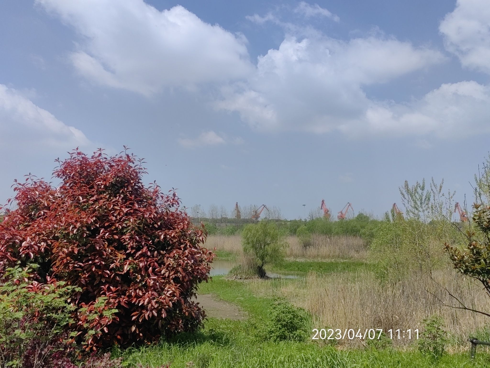 江宁滨江公园旅行图片 1