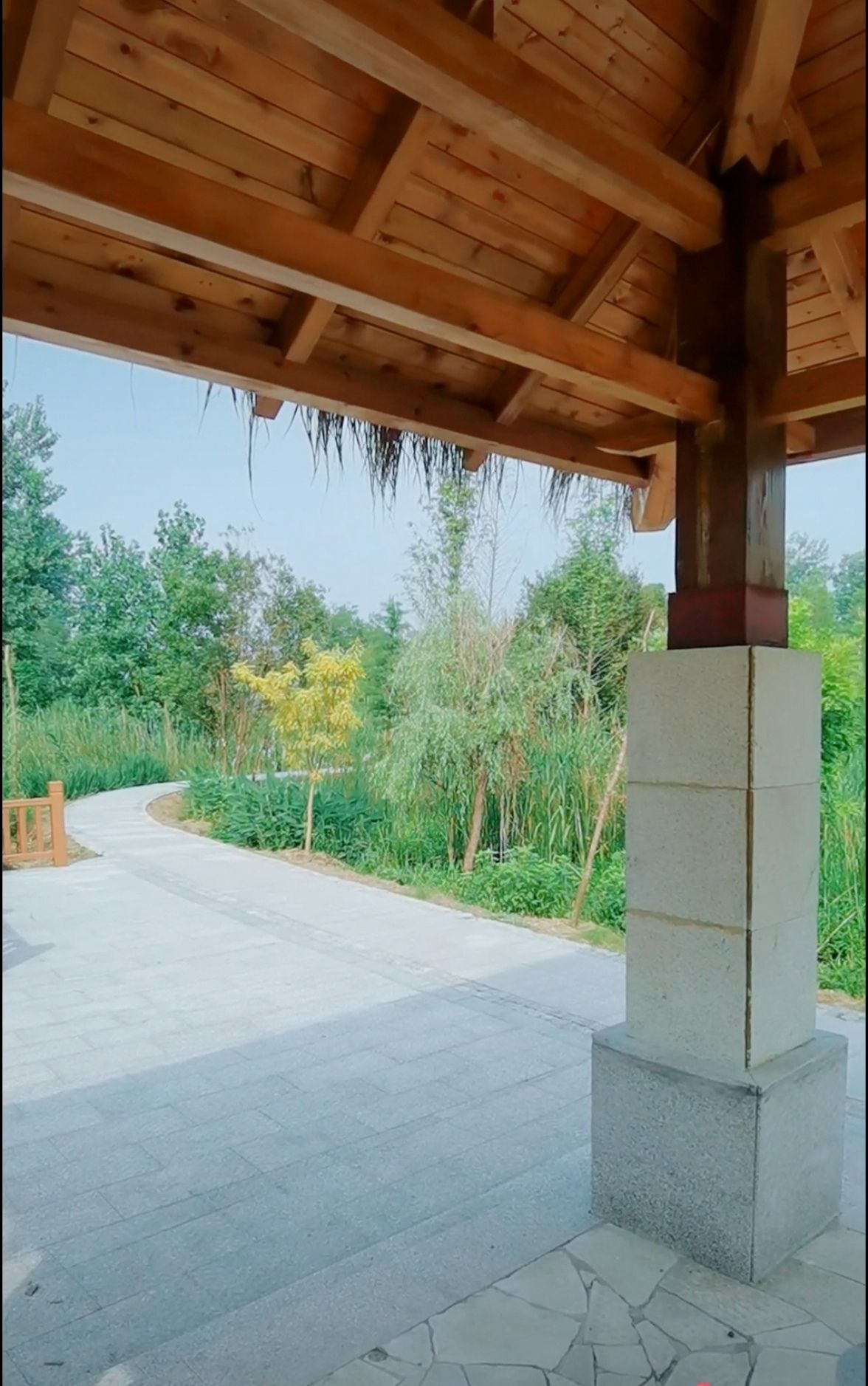 蔡桥河湿地公园旅行图片 3