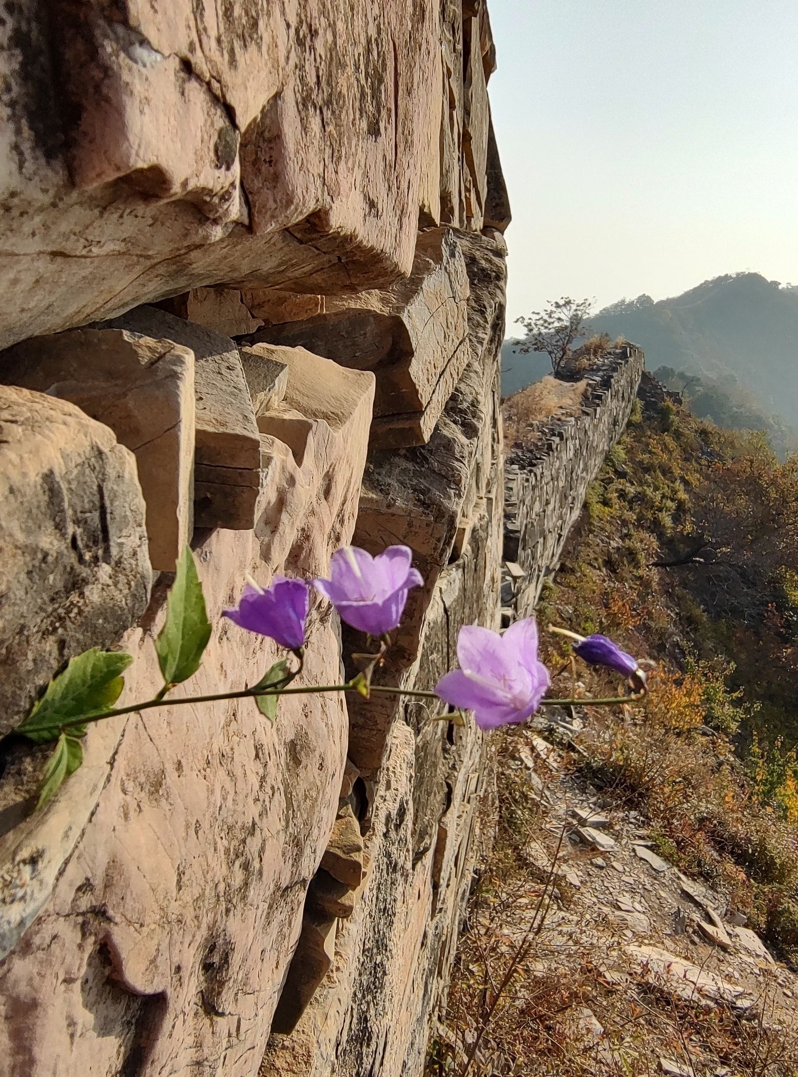 兴隆县望京台旅行图片 3
