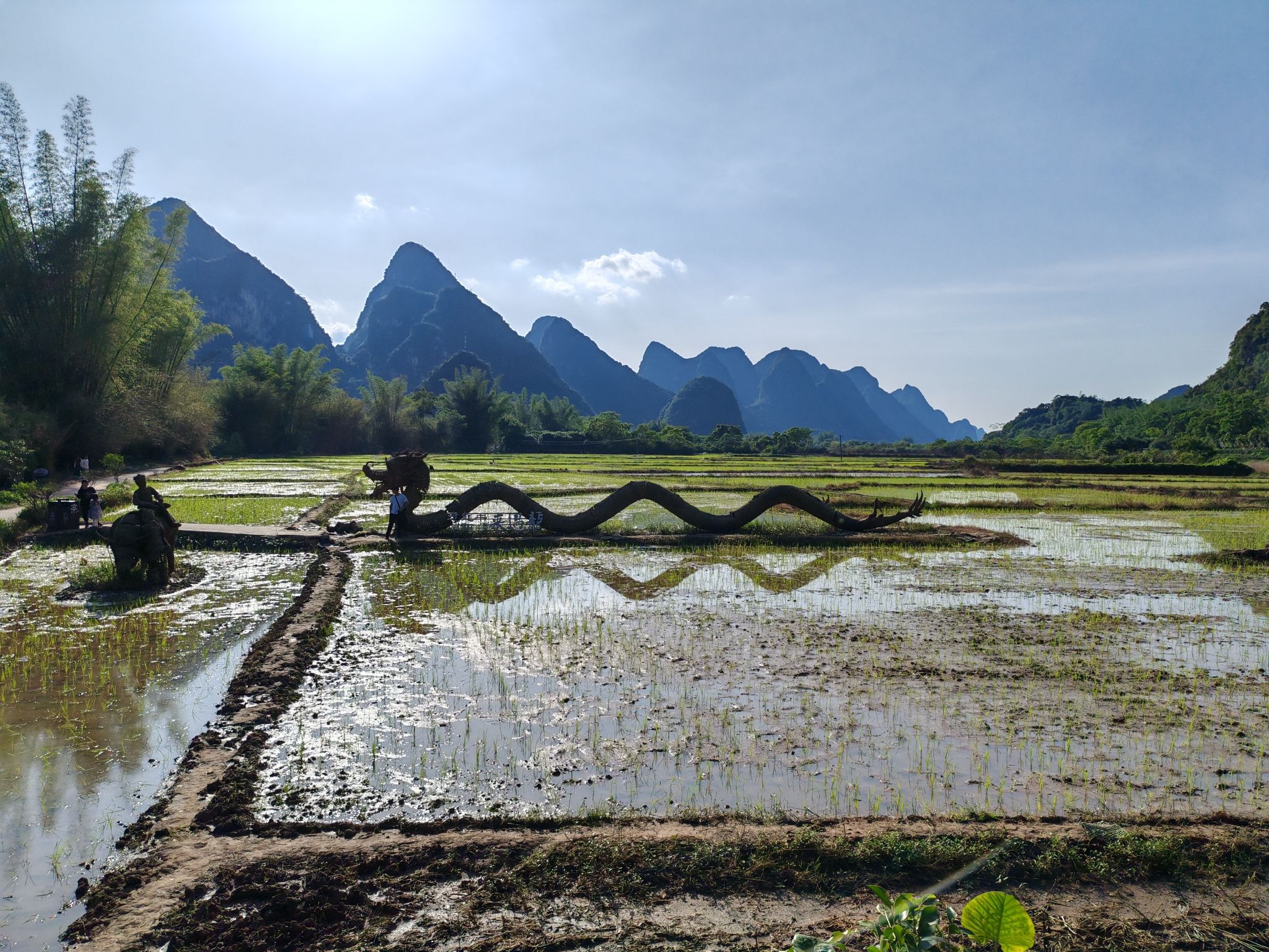 梦幻遇龙花映稻香景区旅行图片 2