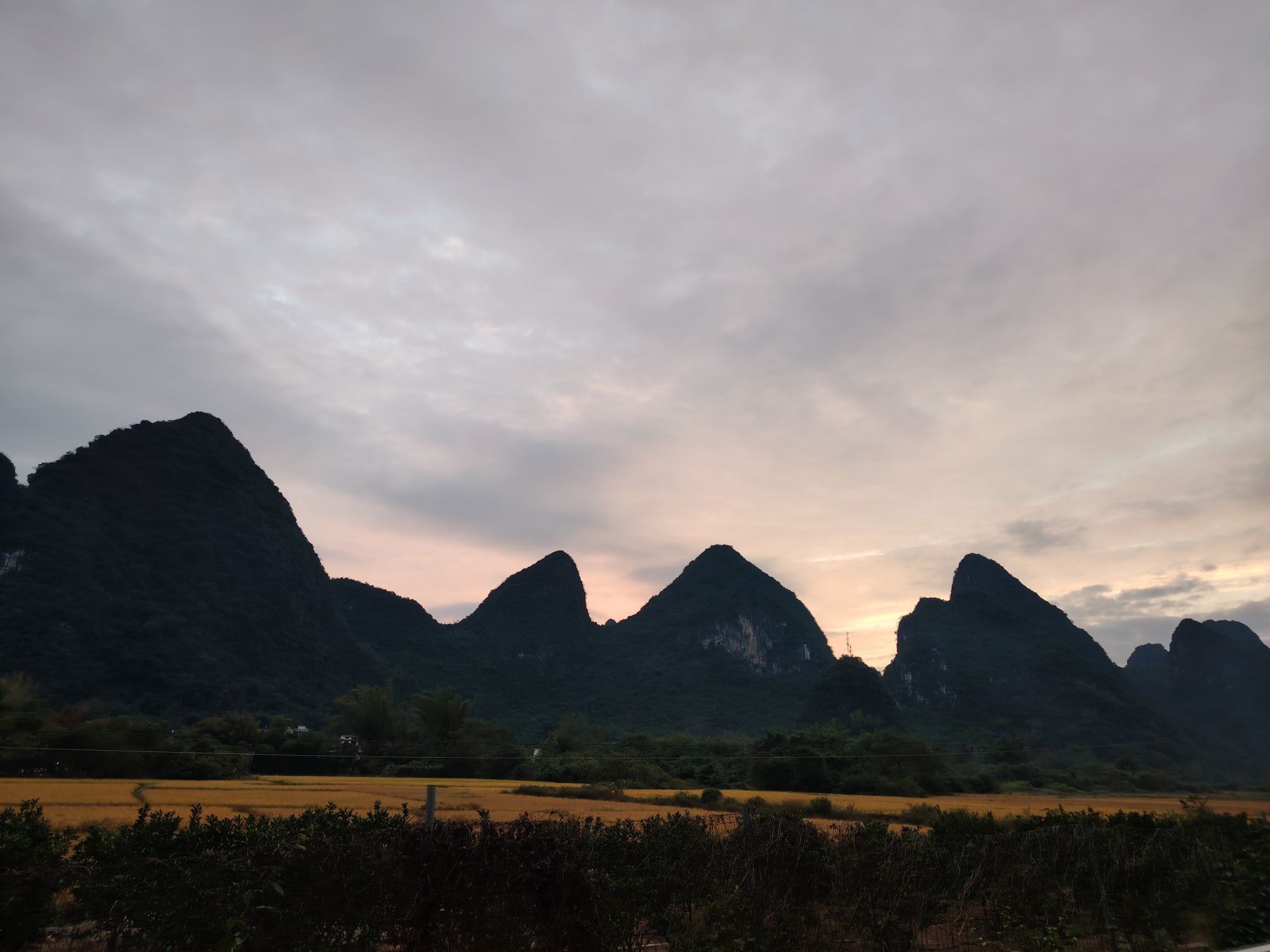 梦幻遇龙花映稻香景区旅行图片 3