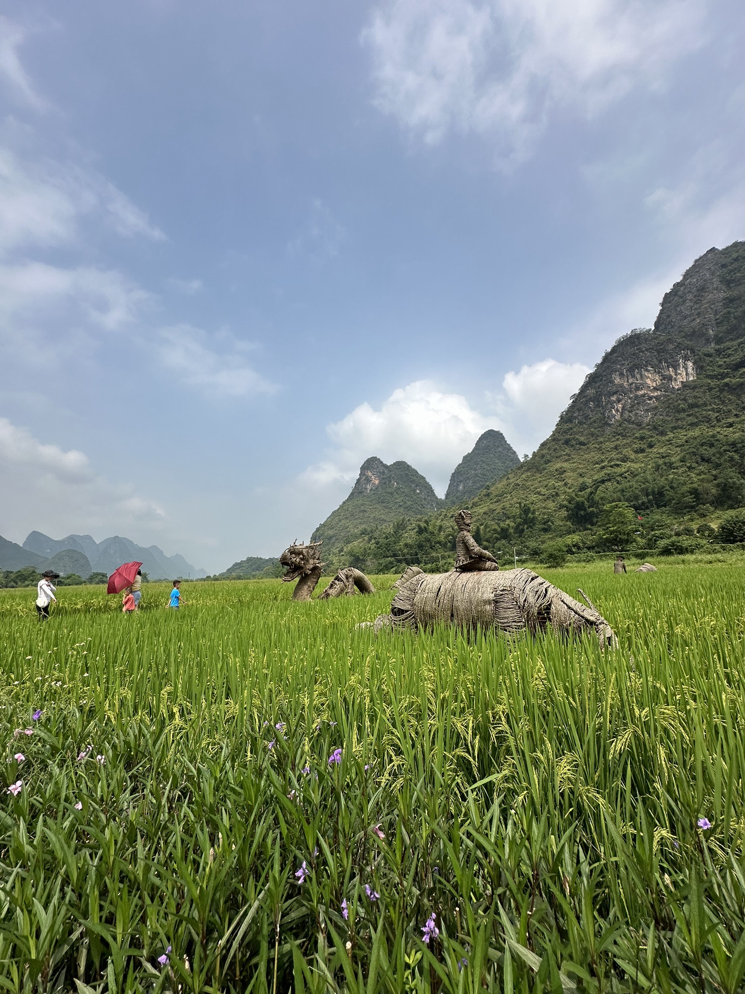梦幻遇龙花映稻香景区旅行图片 3